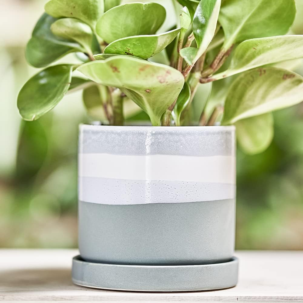 CHIVE ‘Minute’ Ceramic Planter Pot — Cute 5” Colorful Succulent Pots for Indoor & Outdoor House Plants — Beautiful Modern Farmhouse Kitchen Decor — Matte Green