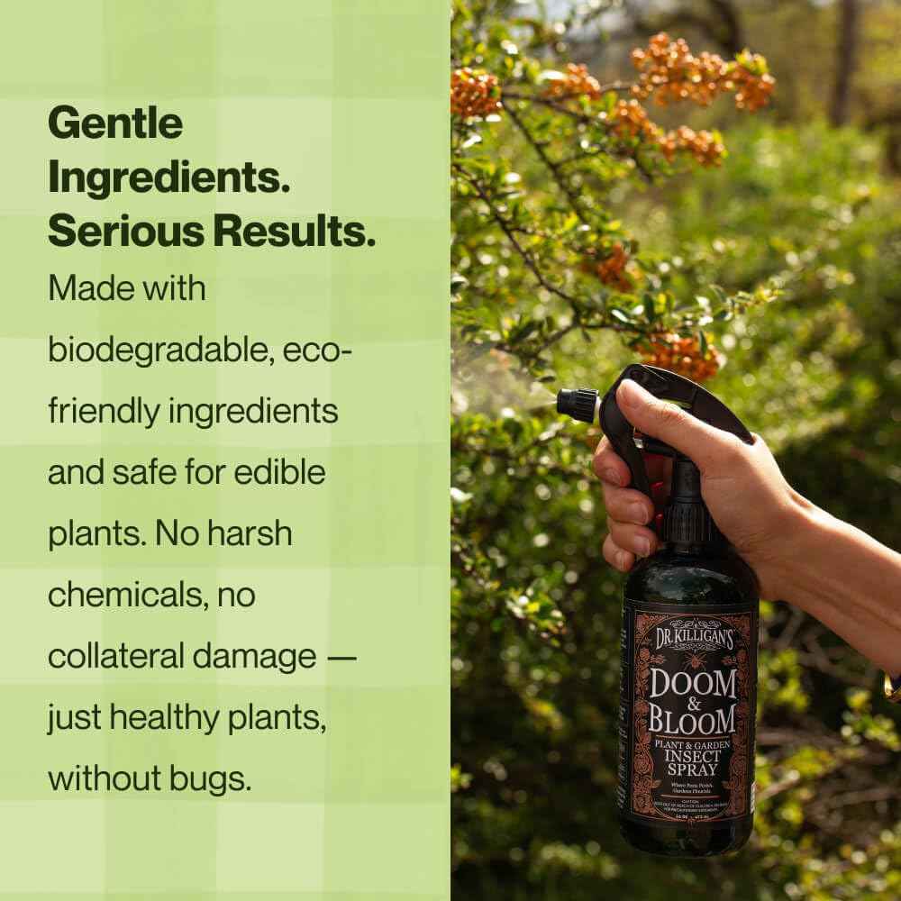 Dr. Killigan’s Doom & Bloom House Plant Pest Spray - for Outdoor & Indoor Gardening, Kills Aphids, Spider Mites & Thrips on Contact, with Adjustable Trigger Sprayer (16 oz)