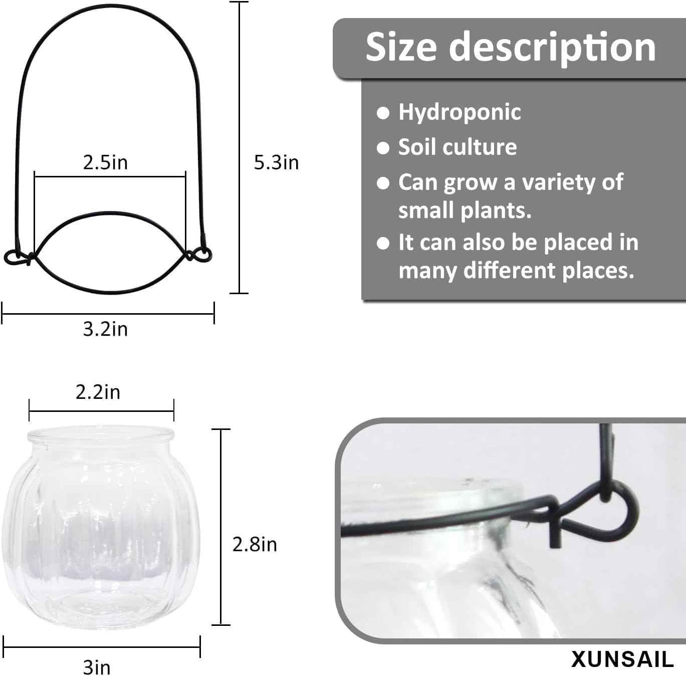 XUNSAIL Terrarium Plants Glass Air Plant Hanging Terrarium Plants Glass Home Decor Vase Wall Hanging Pots (6 PCS Air Plant