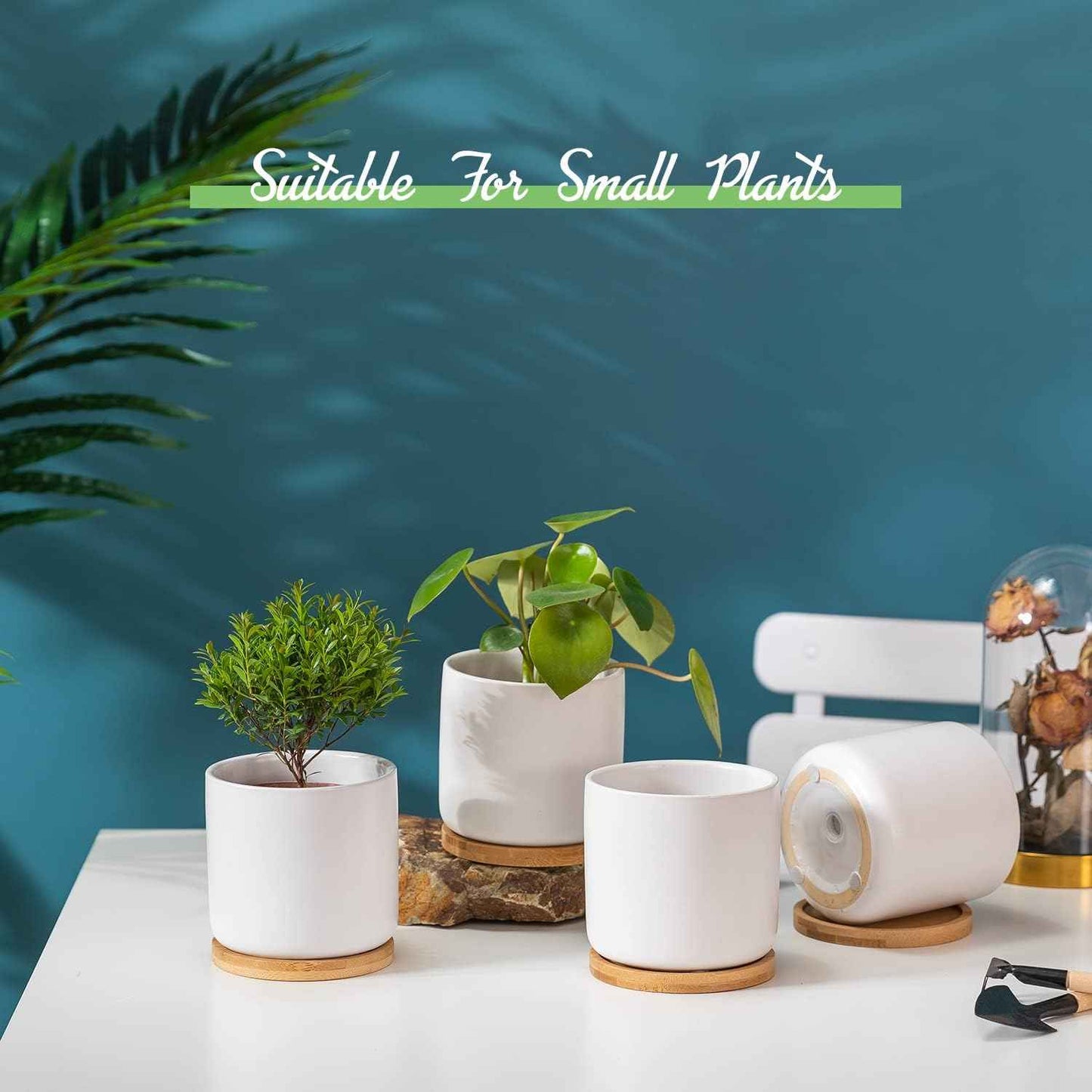 4 Inch White Ceramic Plant Pots with Drainage Holes, Adorable Flower Planter Pot with Tray for Indoor Succulent Plants, Snake Plants, Cactus & Herbs, Set of 4 (Plant Not Included)
