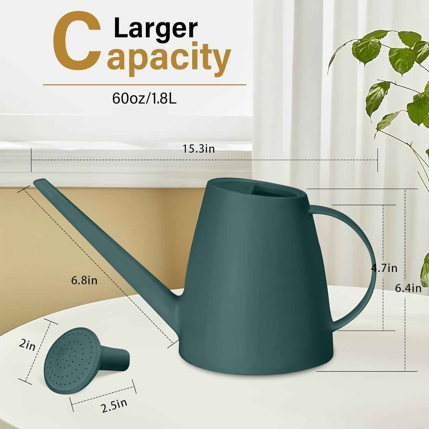 Plant Watering Can - Plastic Indoor and Outdoor - 1/2 Gallon - Blackish Green