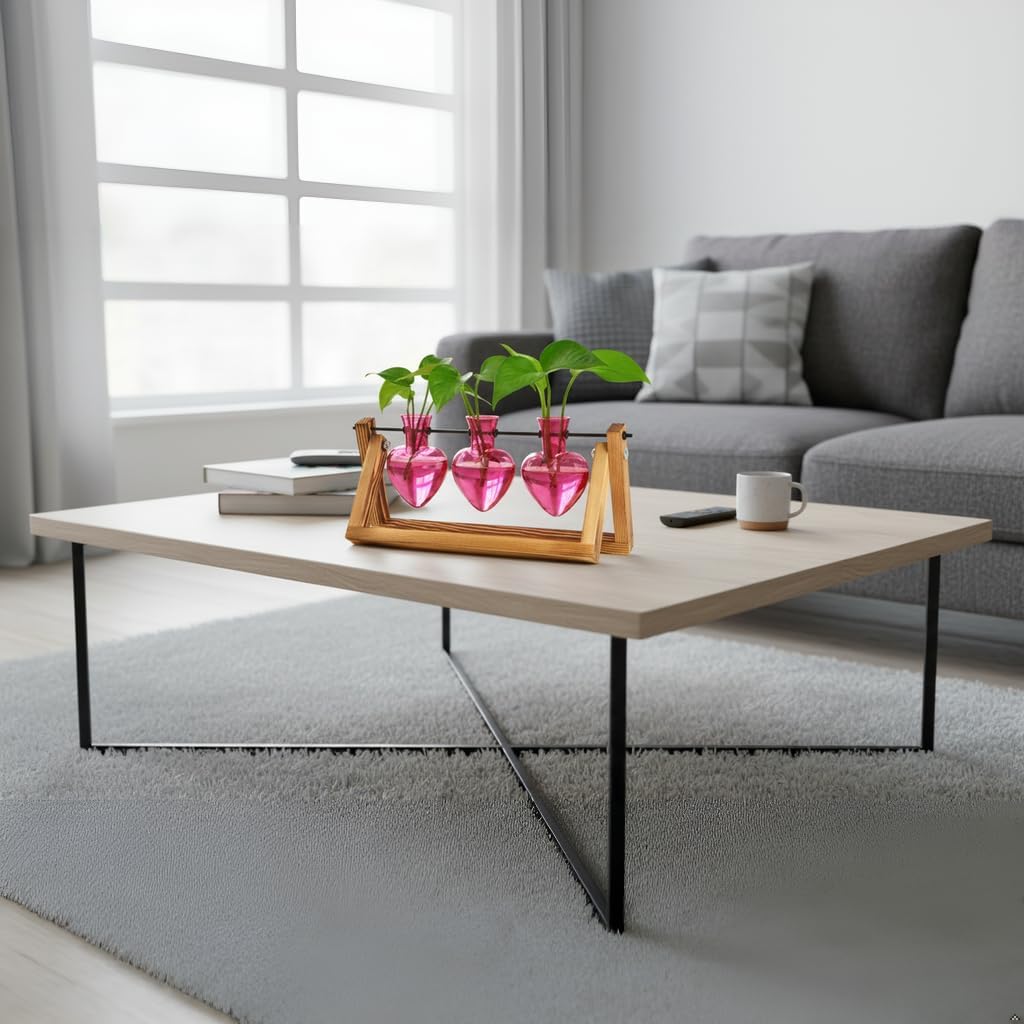 XXXFLOWER Plant Terrarium Propagation Stations Unique Gifts for Women Wife Mom Plant Lovers 3 Heart Shaped Vases for Hydroponics Home Garden Office Decor(Plants NOT Included)