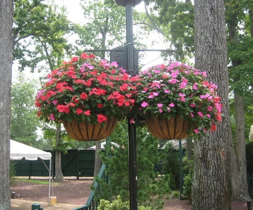 2 PCS 22 Inch x 14 Inch Coco Liners for Planters Round Basket Shaped Coconut Fiber Replacement Liners