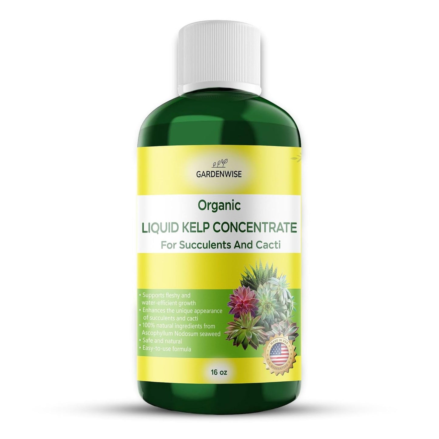 Organic Kelp Seaweed Fertilizer: Premium Succulent and Cactus Food - Indoor Plant Nutrition with Root Booster, Ideal for Christmas Cactus, Dragon Fruit, and Potted Plants (16 OZ)