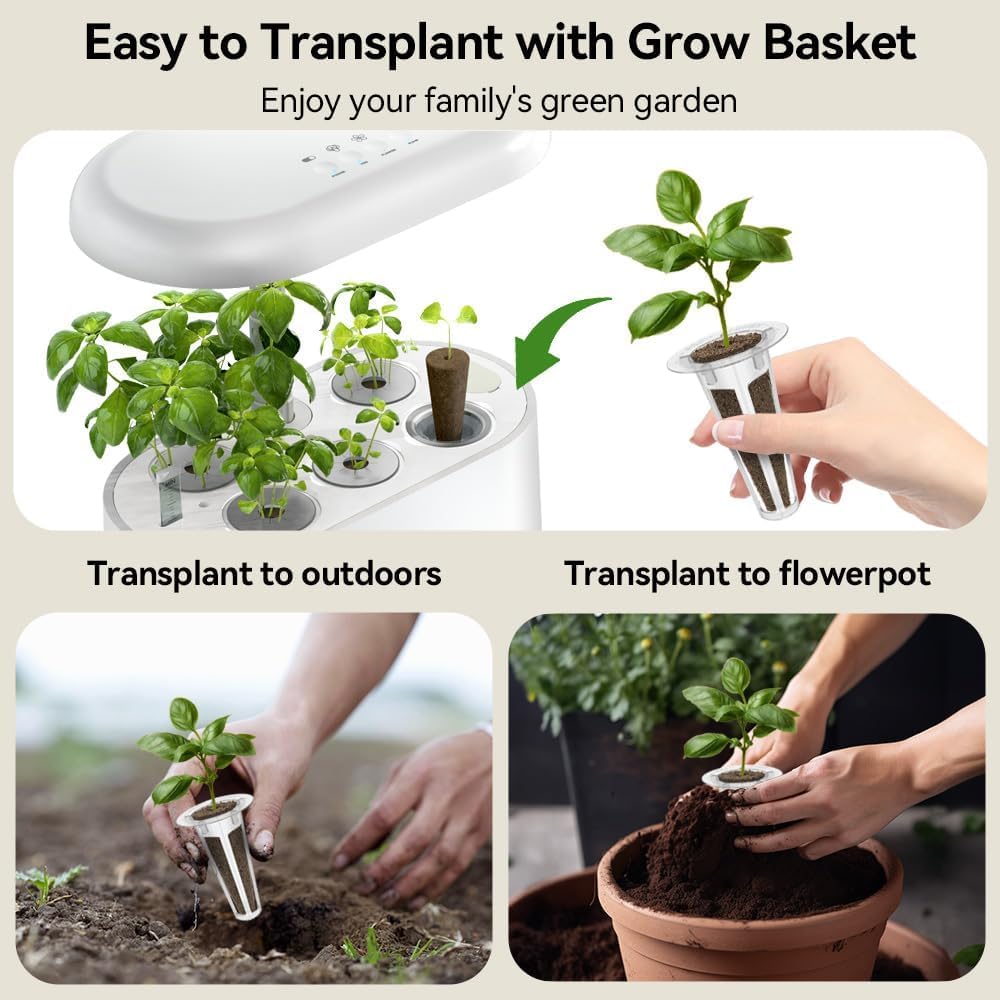 Inbloom 7-Pods Salad Greens Seed Pod Kit for AeroGarden, Ahopegarden, Gardencube Hydroponic Garden with Spinach, Buttercrunch, Paris & American Lettuce, Swiss Chard, Arugula, Bok Choy - 350 Seeds