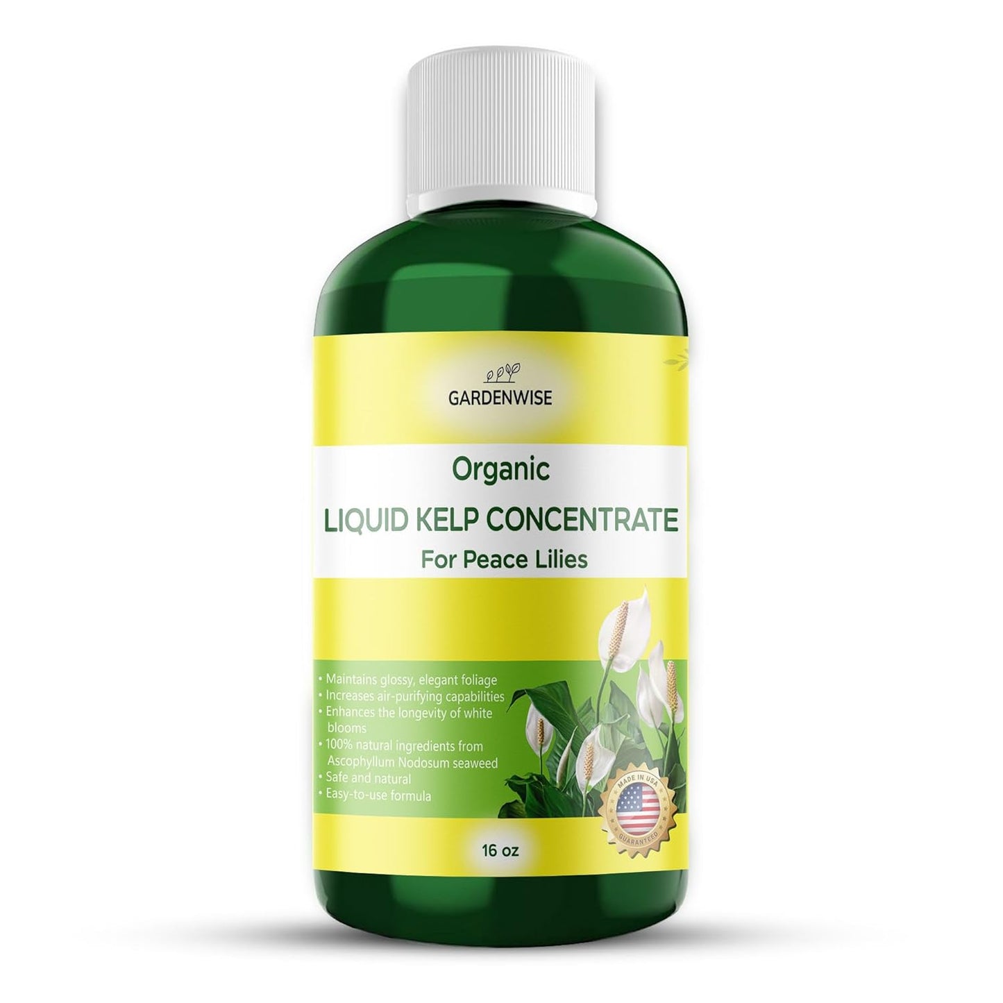 Organic Premium Kelp Seaweed Fertilizer for Peace Llily - Liquid Plant Food - Nutrient-Rich Soil Enhancer - Natural Plant Food for Spathiphyllum (16 OZ)