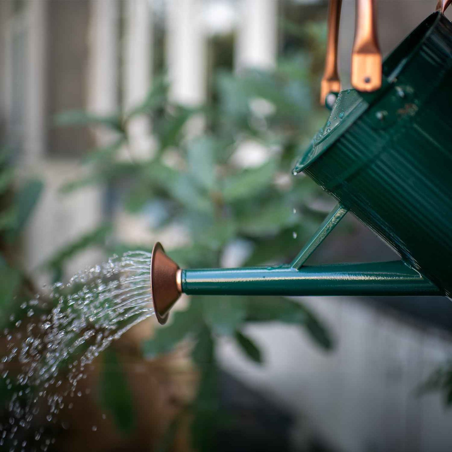 1 Gallon Watering Can, Plant Wate Can, Metal Watering Can with Removable Spout, Galvanized Watering jug, Nice Green Water Can for Indoor and Outdoor use
