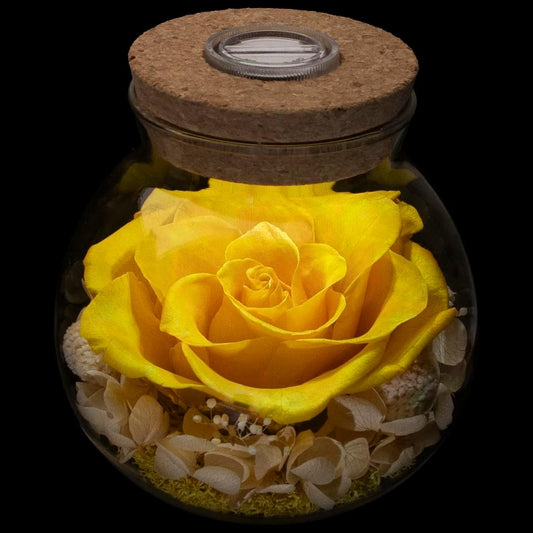 Preserved Real Roses with Colorful Mood Light Wishing Bottle,Eternal Rose，Never Withered Flowers, a Gifts for Women 4.3inch 1pcs (Yellow)