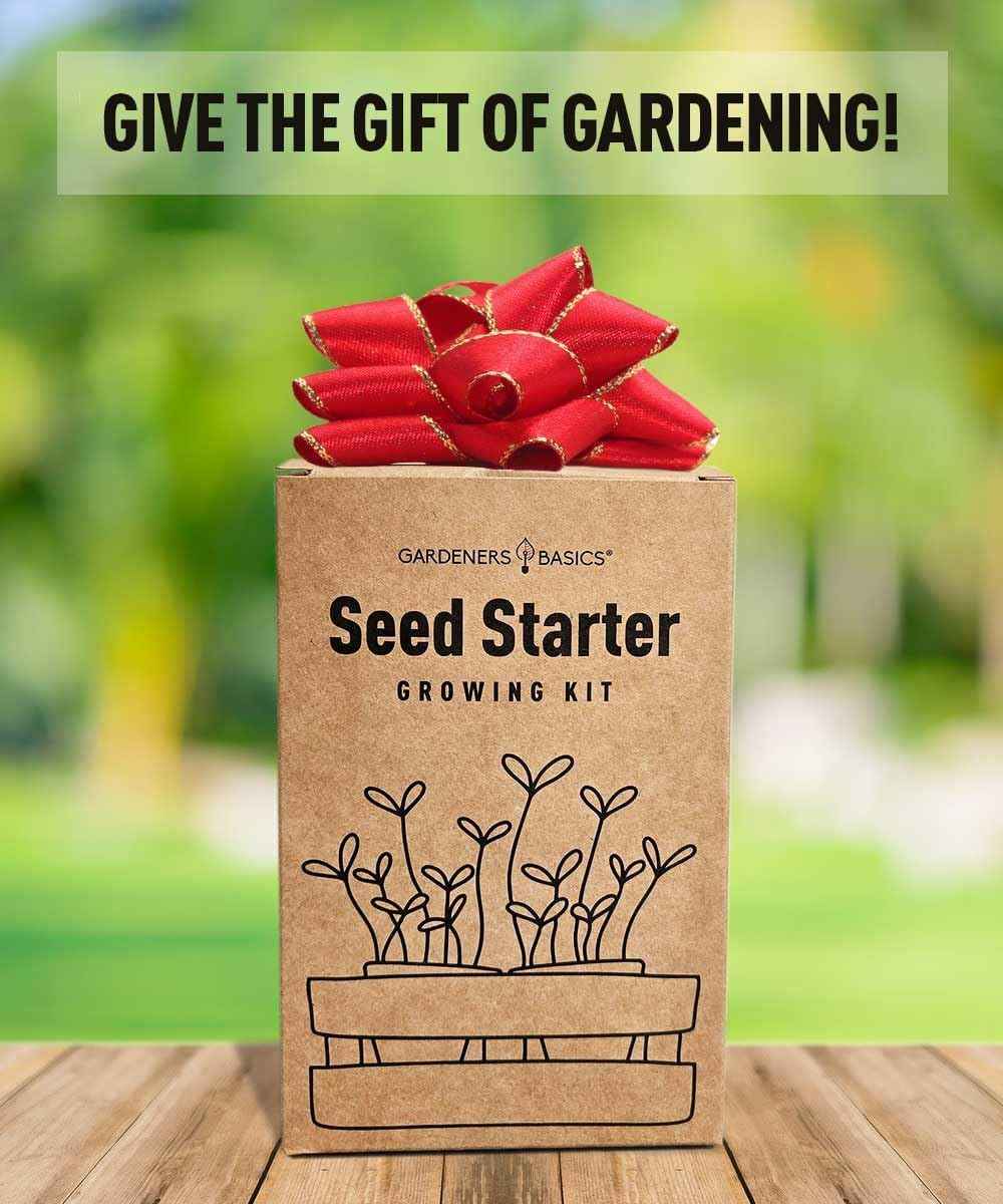 8 Herb Seed Starter Kit – Grow a Variety of Fresh Culinary Herbs – Non-GMO Heirloom Seeds, Complete Indoor & Outdoor Grow Kit, Perfect for Home Gardens & Cooking