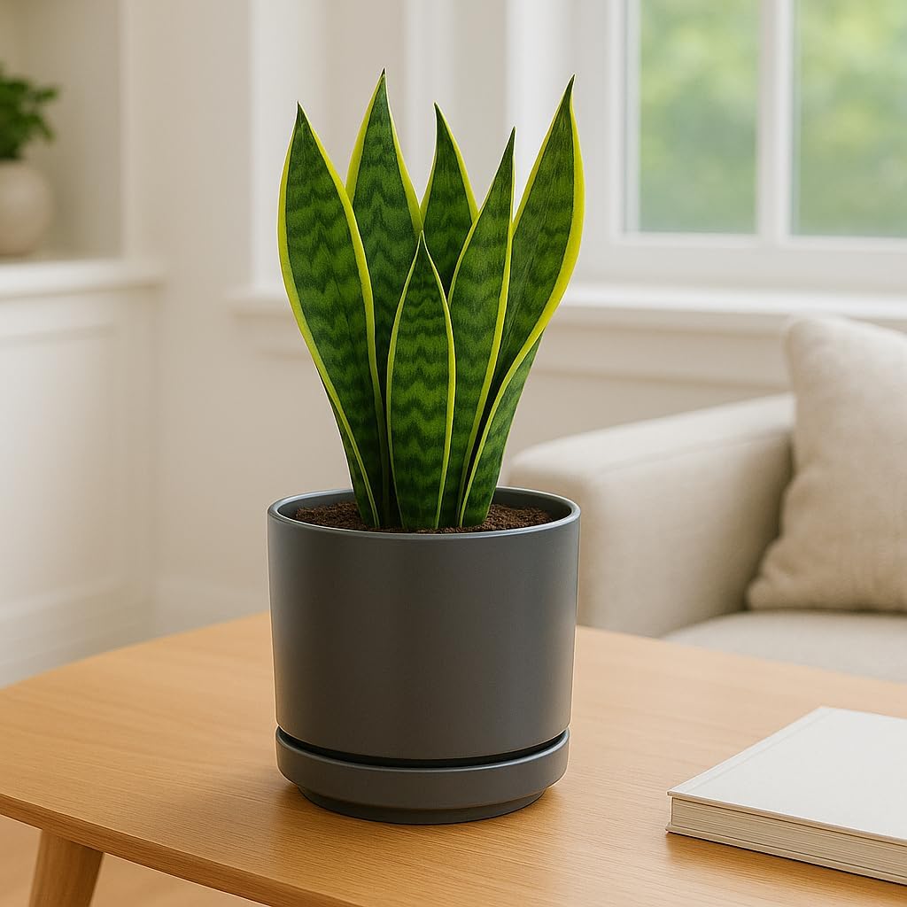 Ceramic Mid Modern Planter Pots with Detached Saucer - Indoor/Outdoor Plant Pots with Drainage Hole