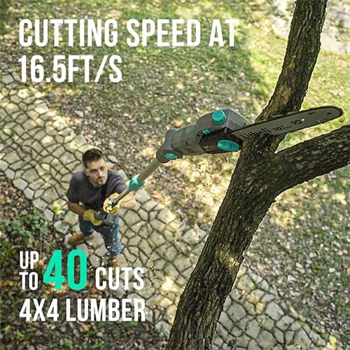 Litheli Cordless Pole Saw,10-Inch 40V Pole Saws for Tree Trimming, Electric Tree Saw for Branch Cutting, Pruning, 2.5Ah Battery& Charger Included