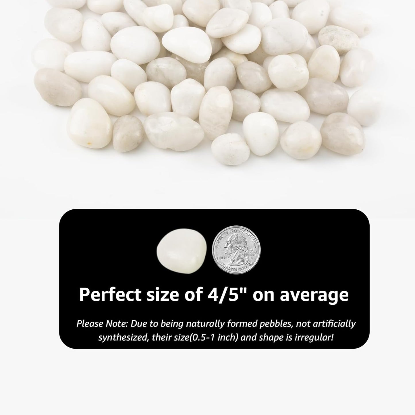 River Rocks - Natural Polished White Pebbles, 0.5-1 inch, 40 lbs - Perfect for Indoor Planting, Vase Filling, Aquarium Decoration, and Garden Landscaping (White, Weight: 40 LB)