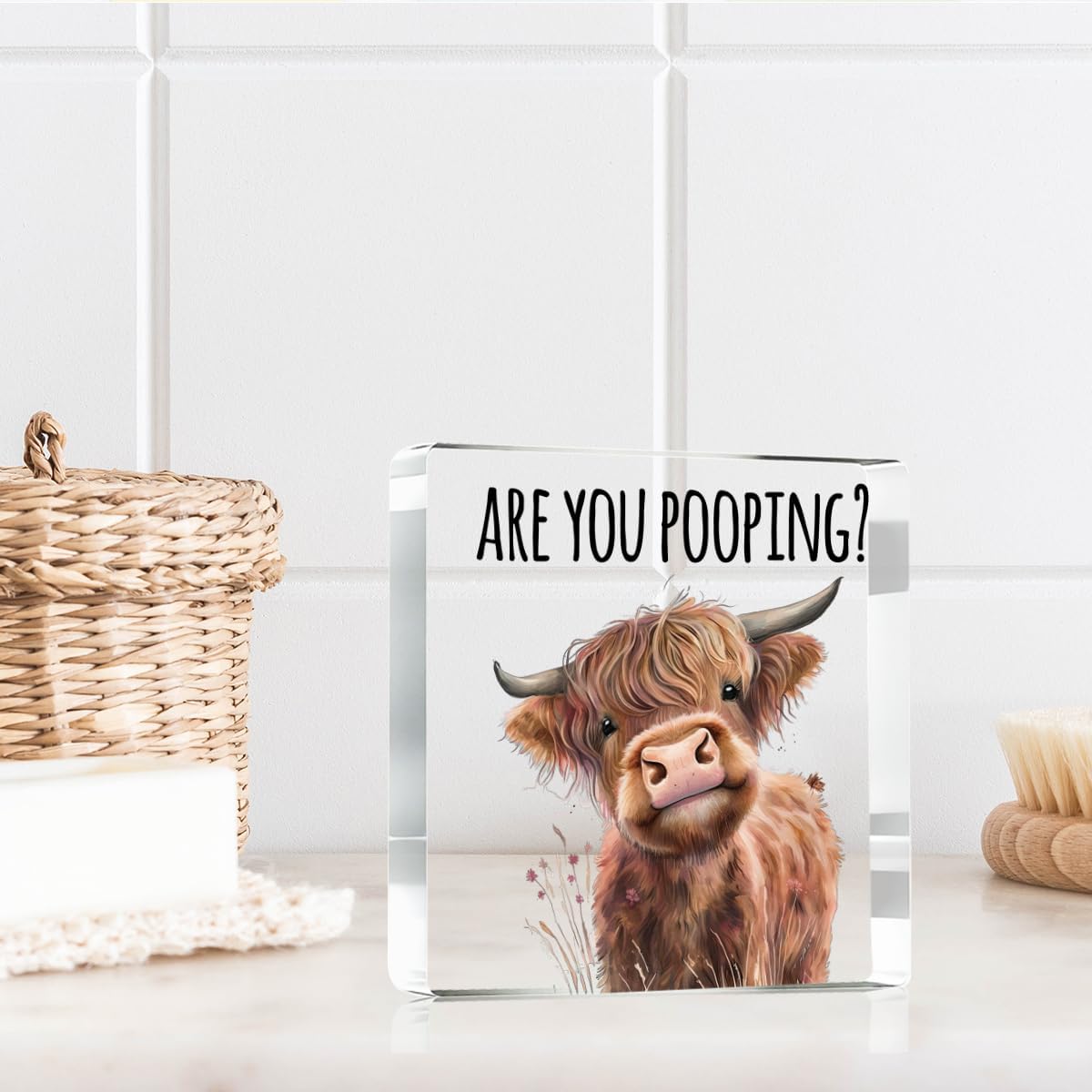 Highland Cow Bathroom Decor Gifts,Are You Pooping Funny Acrylic Sign Bathroom Decor for Western & Highland Cow Lovers Gifts for Coworker, Friends, Boss, Men, Women 4x4 Inch