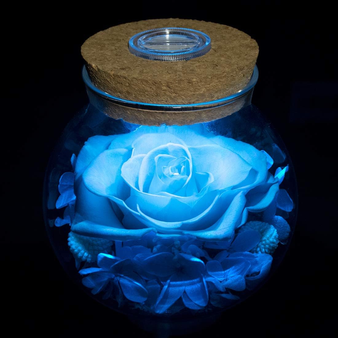 Preserved Real Roses with Colorful Mood Light Wishing Bottle,Eternal Rose，Never Withered Flowers, Christmas Anniversary Valentine's Mother's Day,a Gifts for Women 4.3inch 1pcs（Light Blue）