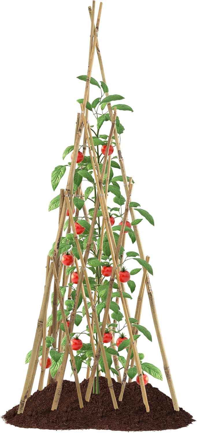 Garden Bamboo Obelisk Plant Support for Climbing Plants Outdoor, Adjustable Height 35 to 45 inches Tall Cucumber Trellis