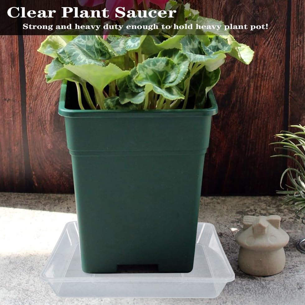 Square Plant Saucer 12 Inch 5 Pack, Strong Clear Plastic Flower Plant Pot Saucer, Square Planters for Indoors and Outdoors Plants, Garden Plant Saucers for Pots Plant Trays.