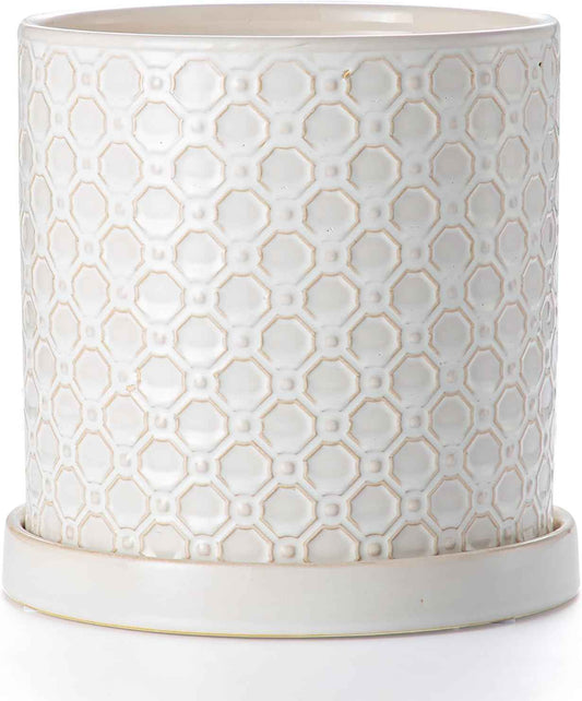 8 Inch Plant Pot: Ceramic Planter with Drainage Hole & Saucer Indoor Outdoor Plants - Cylinder Round Flower Pot for Home Office - Modern Decorative - Medium White