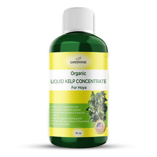 Organic Premium Kelp Seaweed Concentrate for Hoya - Liquid Fertilizer - Liquid Plant Food - Nutrient-Rich Soil Enhancer - Natural Plant Food for Hoya Plant (32 OZ), OLKC-15