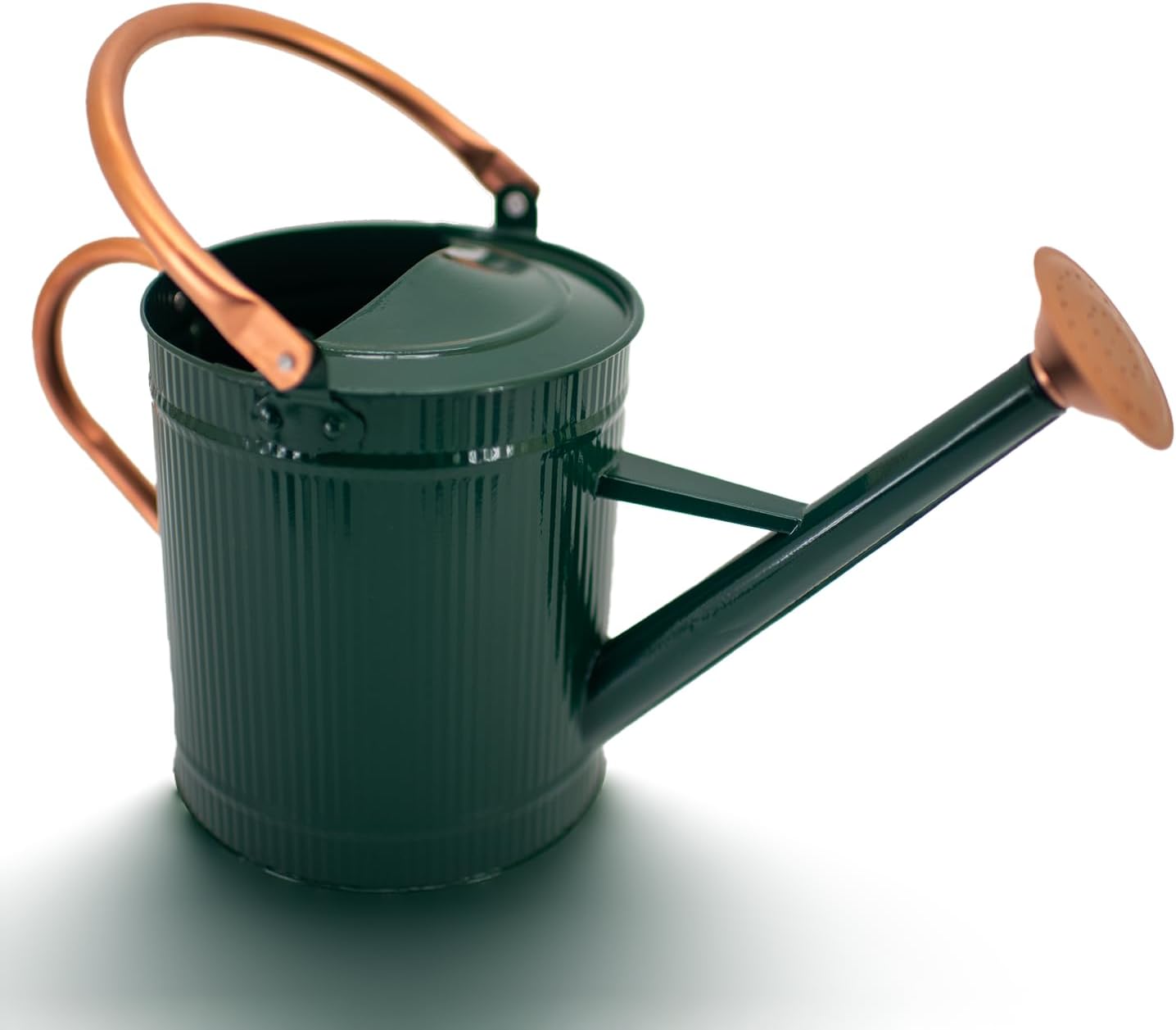 1 Gallon Watering Can, Plant Wate Can, Metal Watering Can with Removable Spout, Galvanized Watering jug, Nice Green Water Can for Indoor and Outdoor use