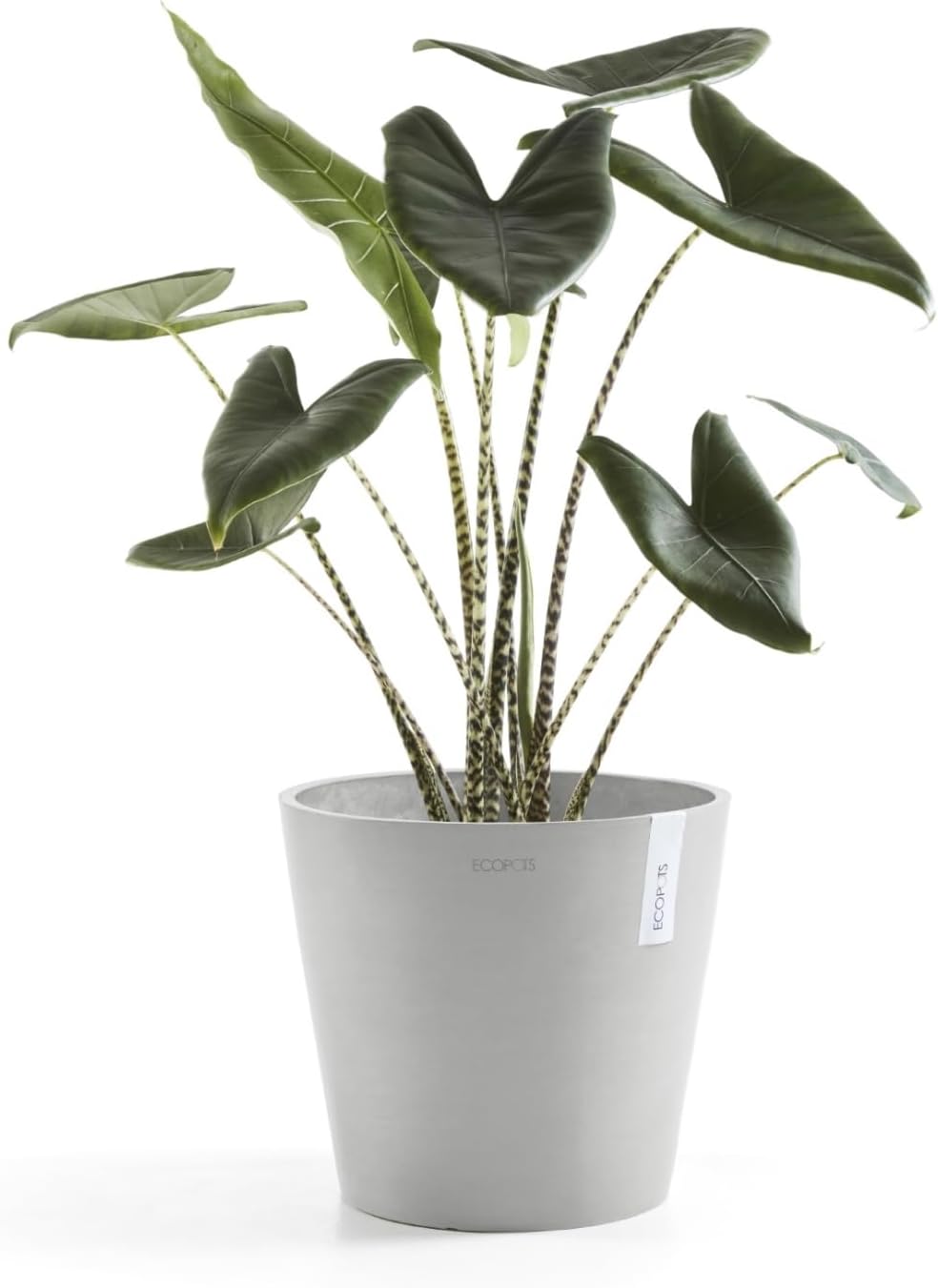 Ecopots Amsterdam Durable Modern Round Indoor/Outdoor Recycled-Based Composite Flower Pot Planter, White Grey, 10"