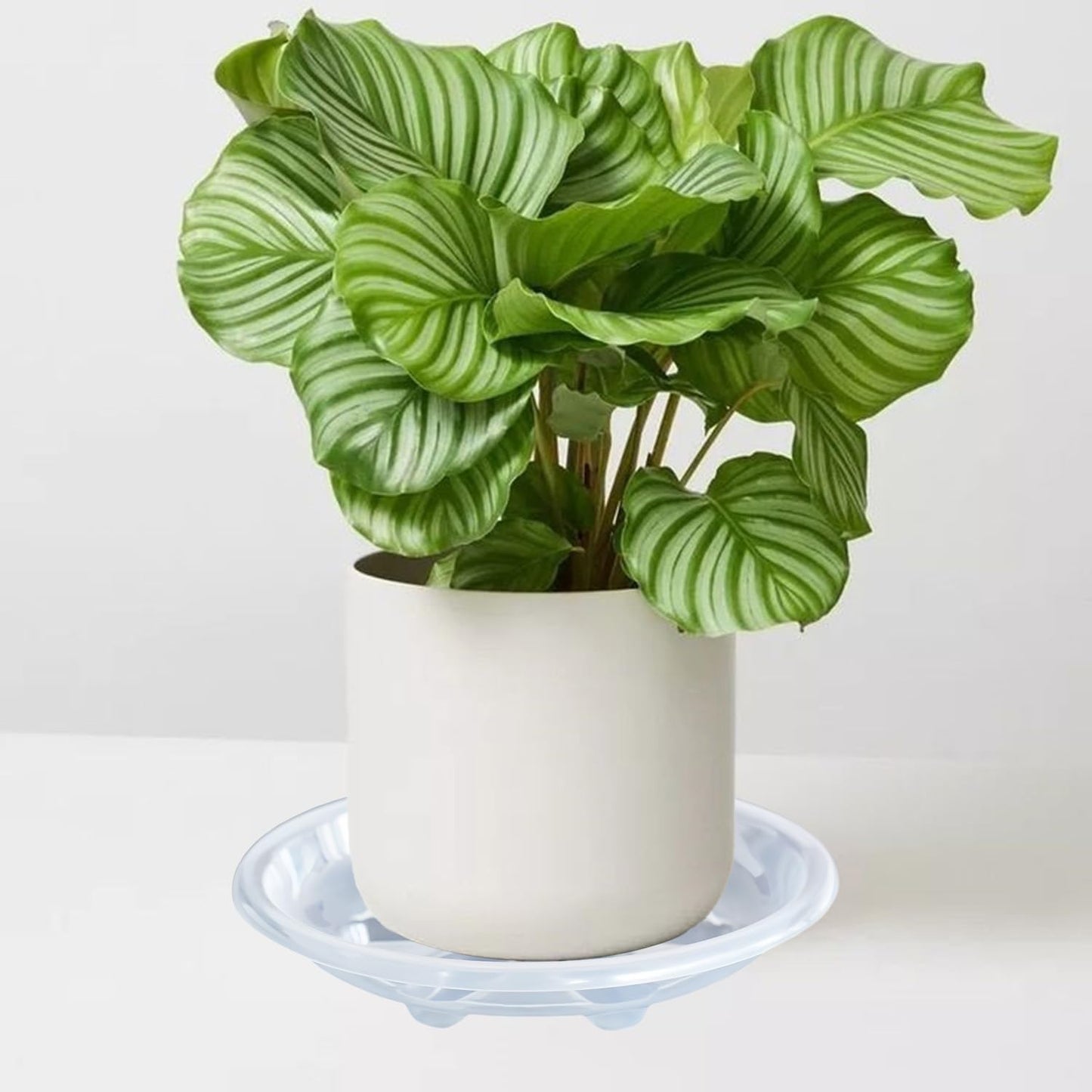 6 Pack of Plant Saucer 10 inch, Heavy Duty Clear Plastic Plant Trays, Plant Pot Saucers, Plant Water Tray for Planters