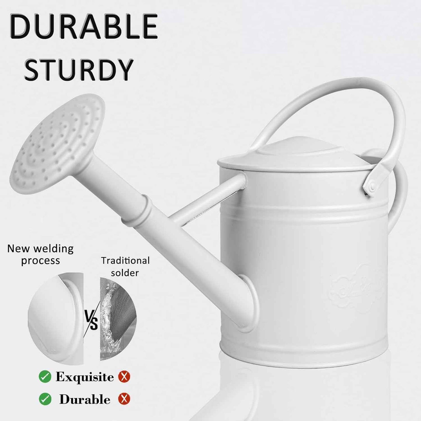 1 Gallon Metal Watering Can for Indoor Plants Outdoor Plants, Large Water Can, Garden Water Can for Kids, Detachable, Water Can with Handle, White