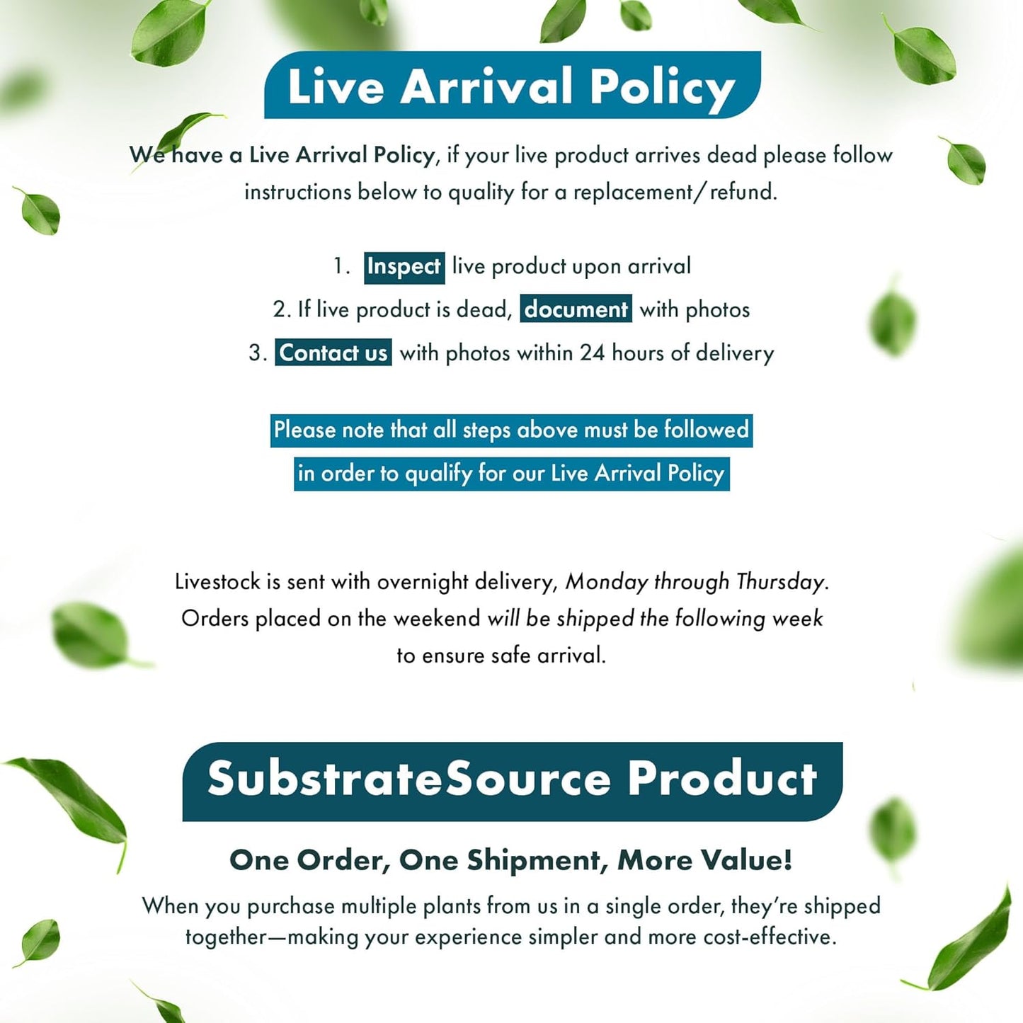 Live Aquarium Stem Plants - Freshwater Aquatic Plant for Fish Tanks, Aquascaping - (Eleocharis Vivipara, 1 Bunch)