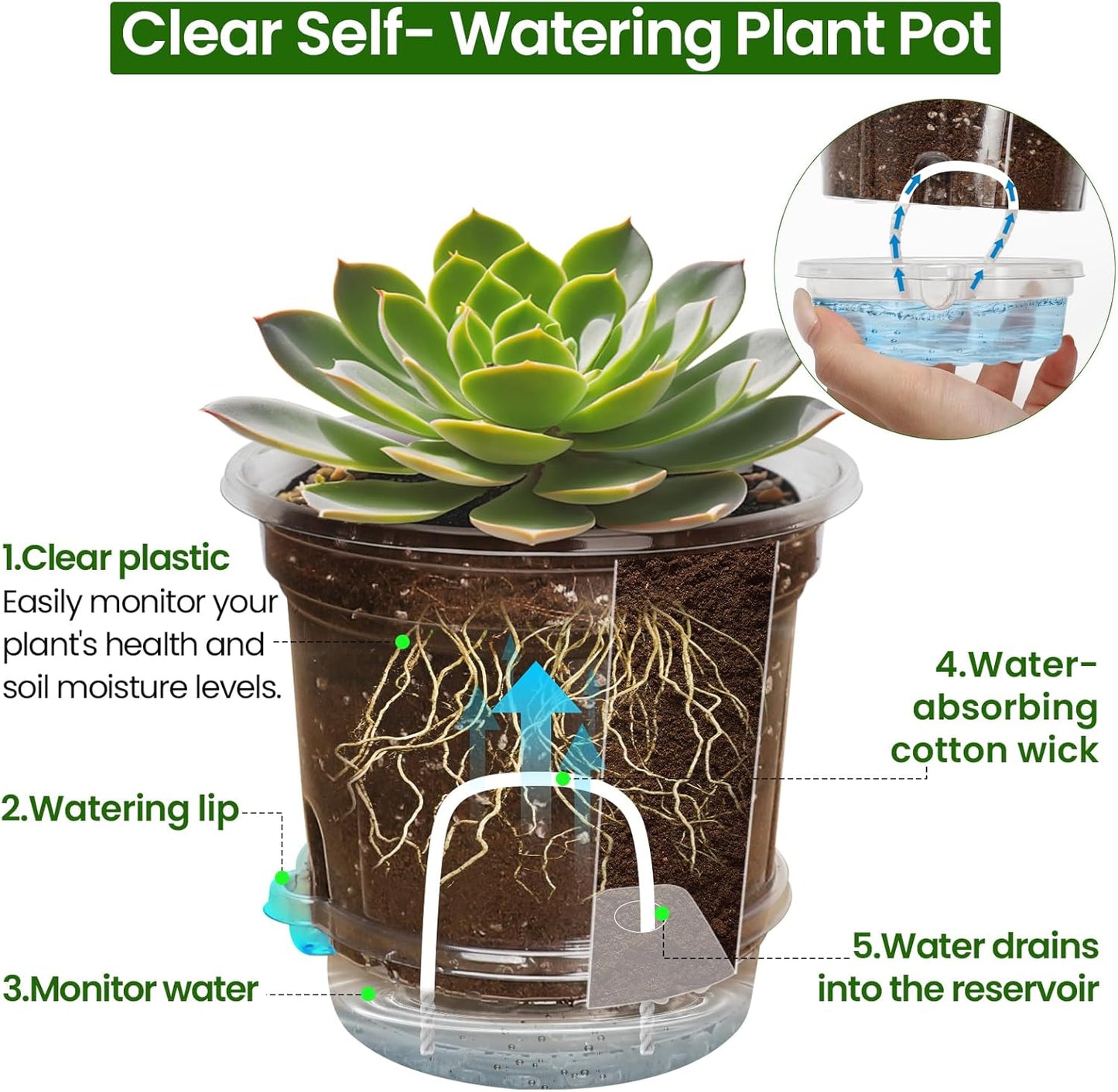 Bluepro 18 Pack 6.5/5/4 Inch Clear Self Watering Plant Pots with Bottom Water Tray & Watering Rope, Transparent Nursery Pots with Drainage for Seedlings, Herbs, and Houseplants