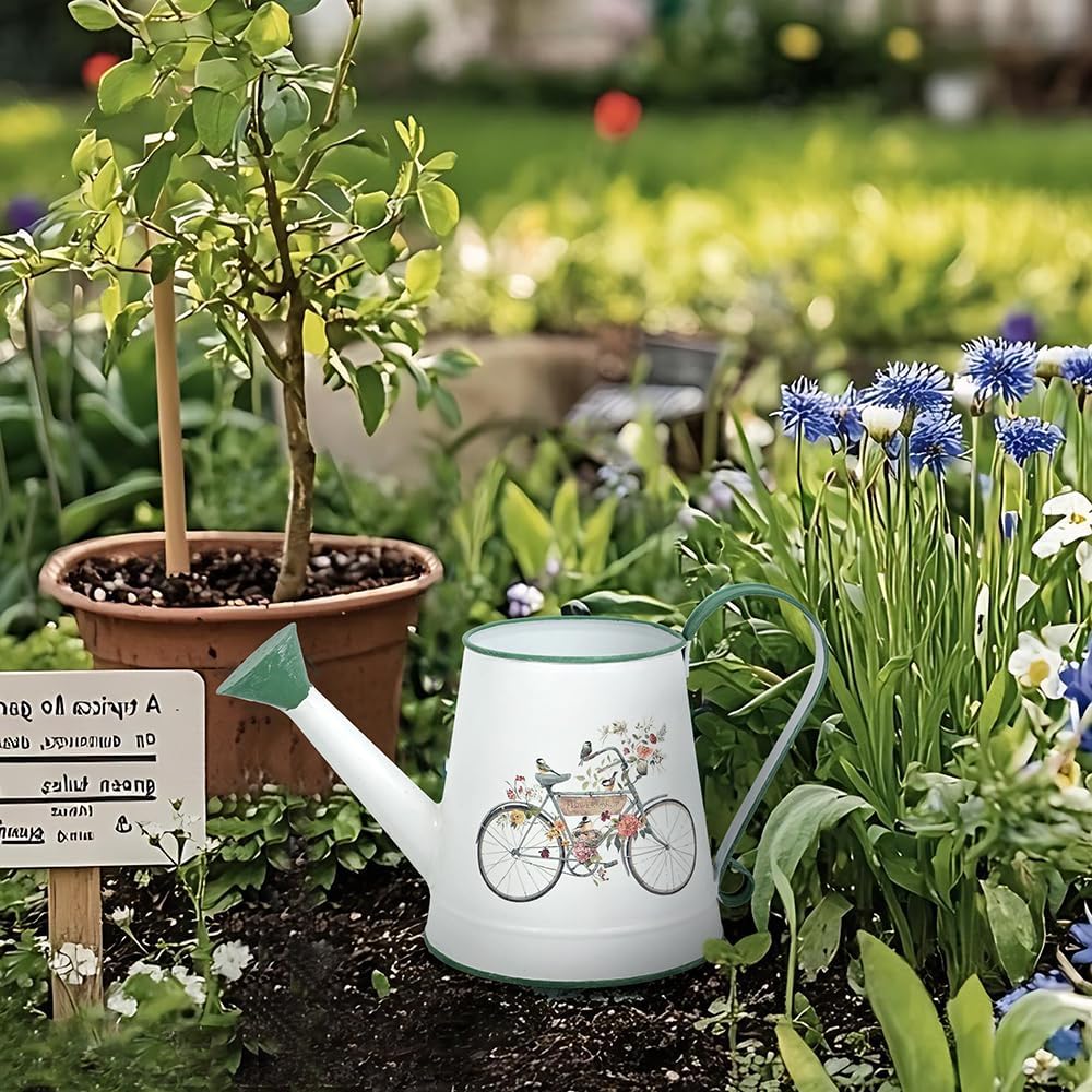 Small Watering Can for Indoor Plants Garden Metal Decorative Watering Can Outdoor Bonsai Balcony Courtyard Garden Flower Decorative, 1.5L, 50.7 Oz (White Green)