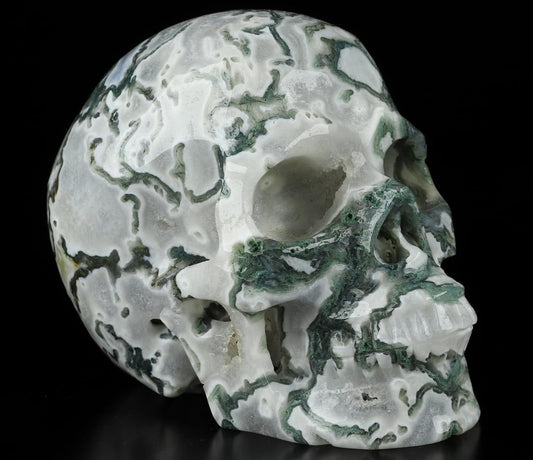 Skullis 5.0” Green Moss Agate Crystal Skull, Hand Carved Gemstone Fine Art Sculpture, Reiki Healing Stone Statue.2054