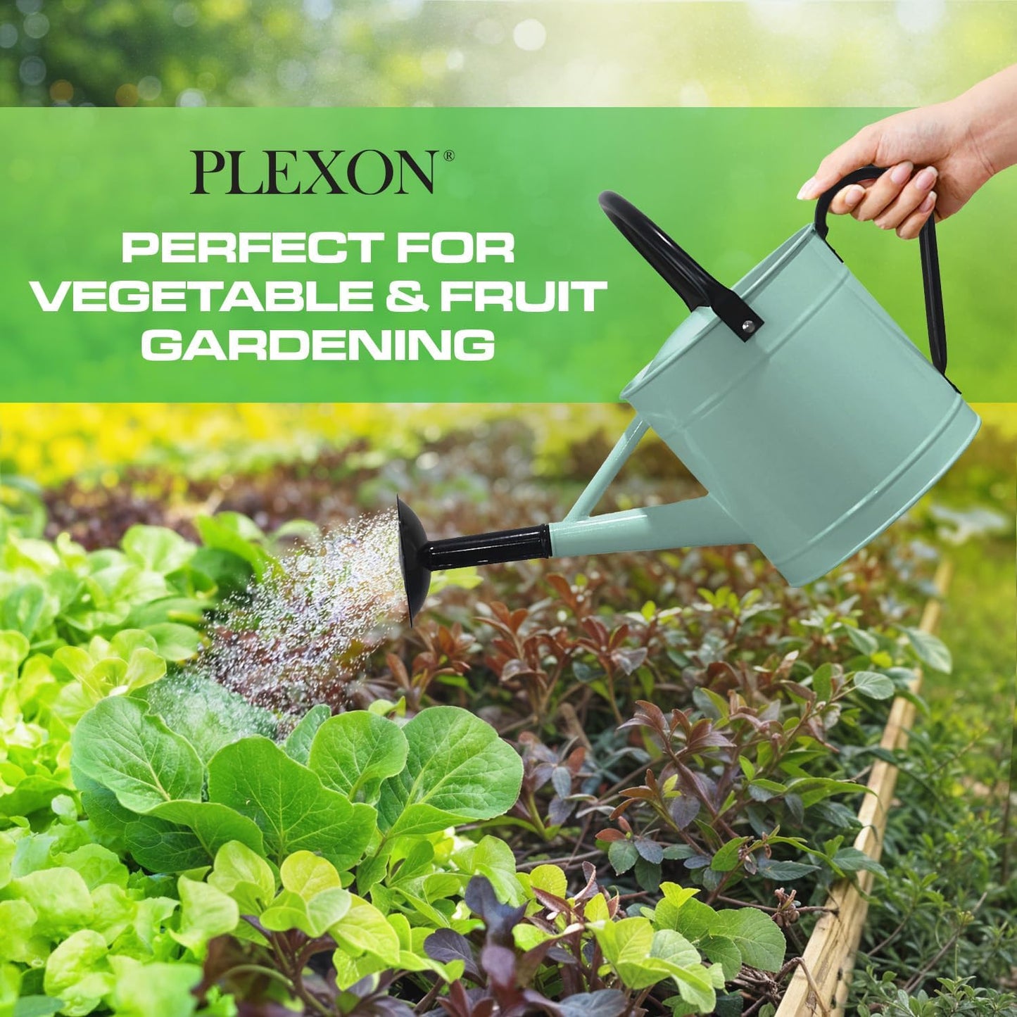 Plexon Metal Watering Can Outdoor 1 Gallon, Flower Plant Gardening Garden Large Watering Can Pot, Black Galvanized Steel Handles and Removable Spray Spout, Aqua Mist Blue