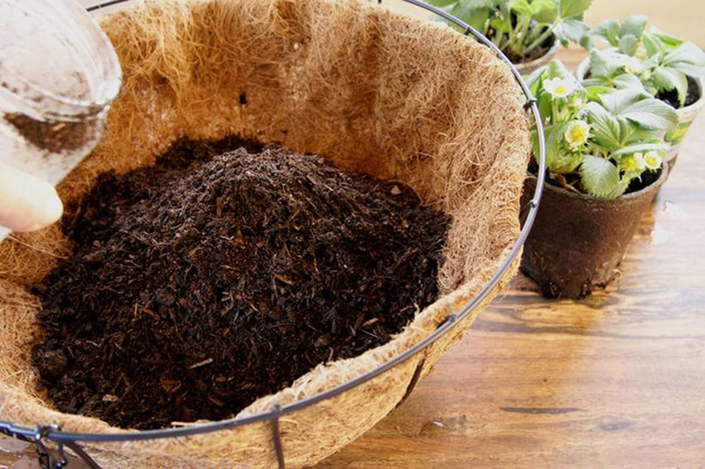2PCS Round Replacement Coco Liner for Hanging Basket, 12 inch Coconut Fiber Plant Basket Liner for Garden Planter Flower Pot (12 inch Round)