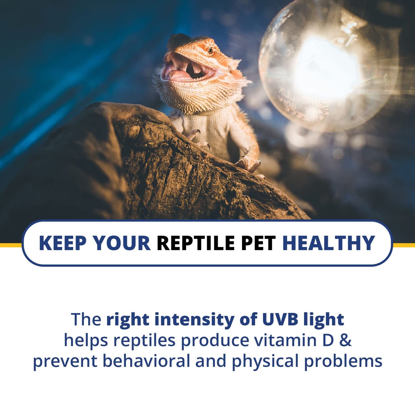 Model 6.5R Reptile UV Index Meter, Handheld Digital Radiometer for Measuring Ultraviolet Light, Measures 280-400 nm with Range from 0-199.9 UV Index, Made in USA, ABS Polymer, Black