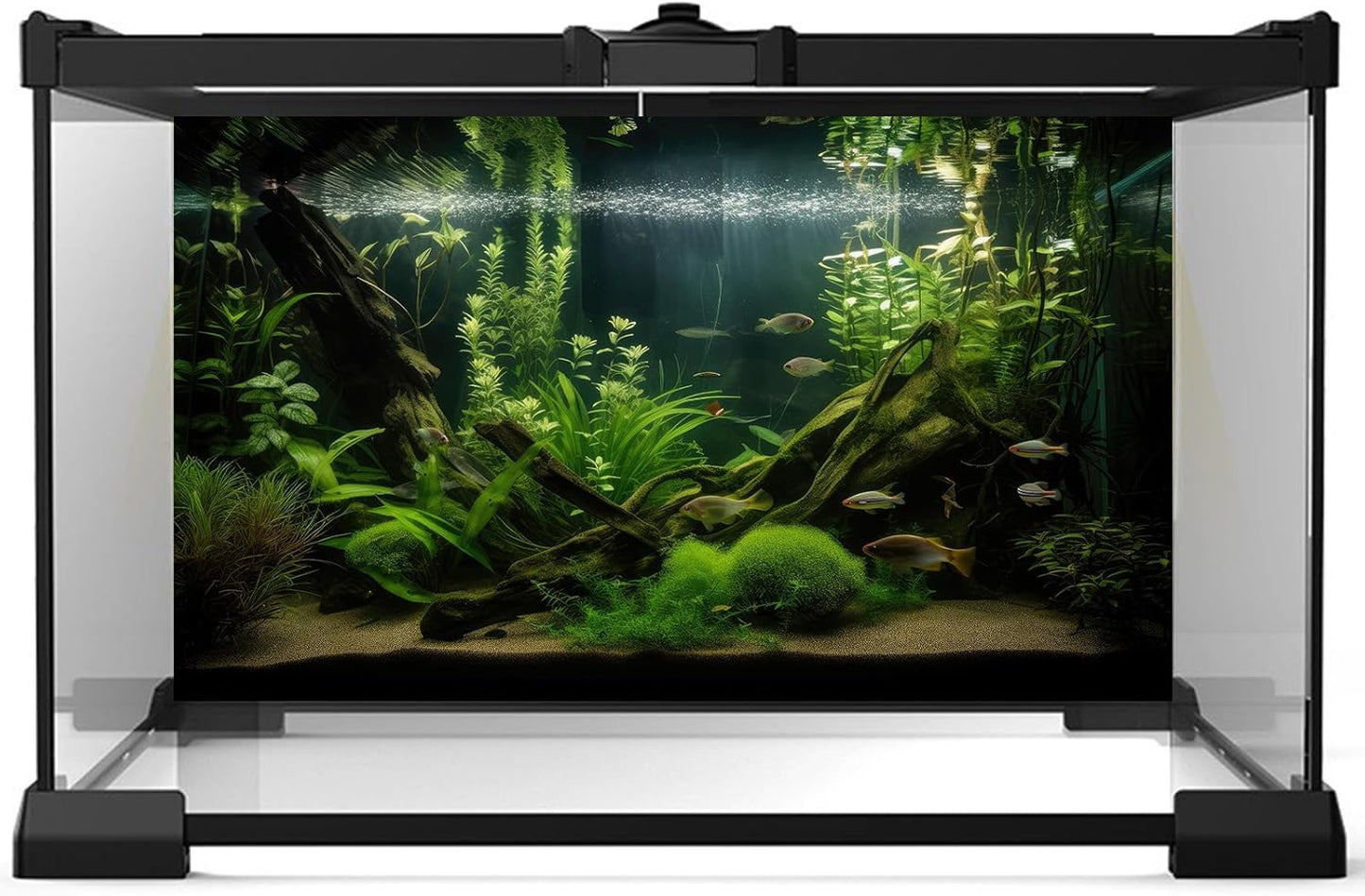 Aquarium Background Diverse Aquatic Plants and Seagrasses Terrarium Background Redwood Root Lush Green Underwater Plants Moss Fish Tank Background Under The Sea Aquarium Backdrop Vinyl 24x16in