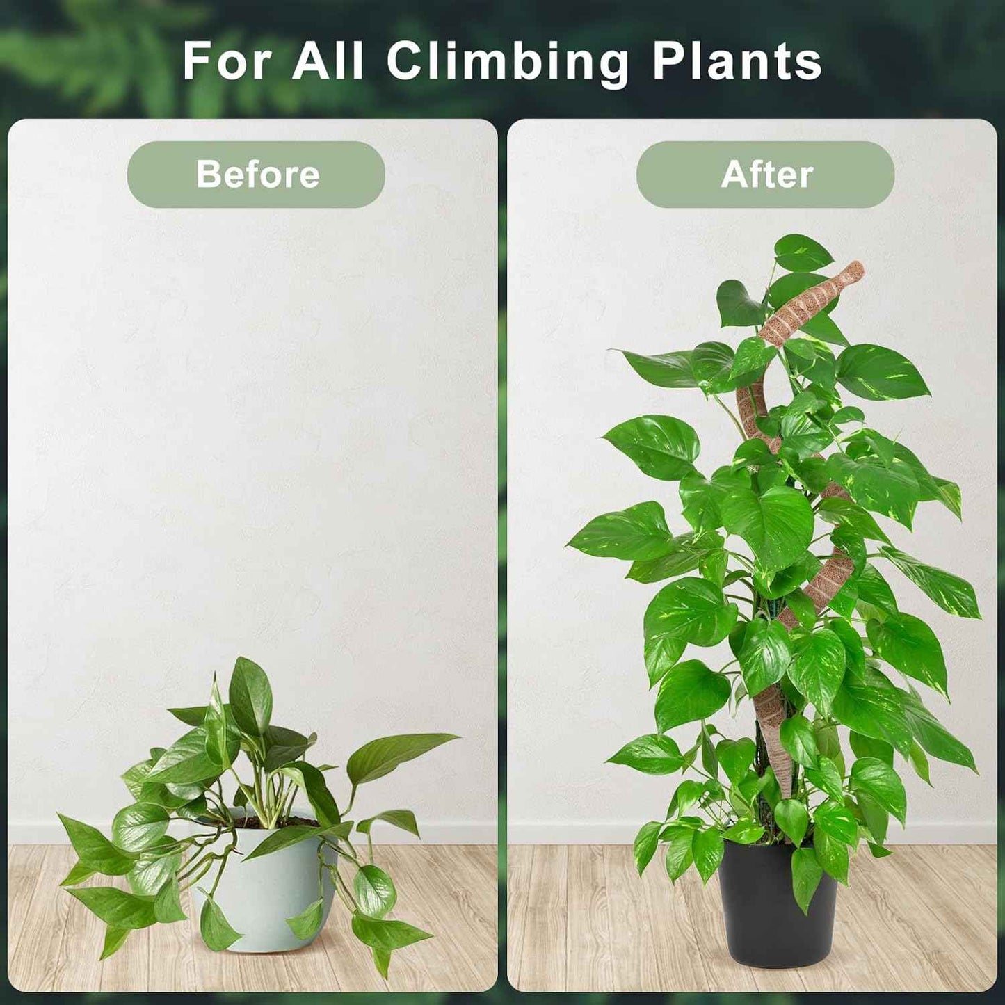 60 Inch Moss Pole, Bendable Moss Pole for Plants Monstera, Tall Moss Poles for Climbing Plants Indoor, Large Support, Garden Trellis Stick Stakes for Plants