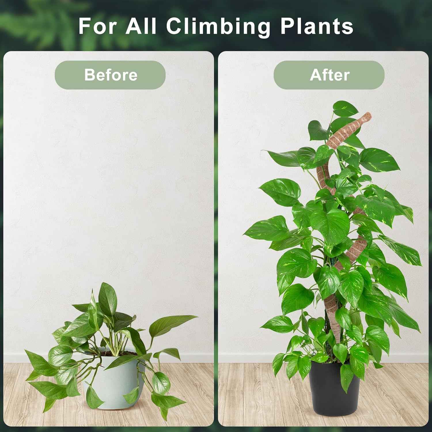 60 Inch Moss Pole, Bendable Moss Pole for Plants Monstera, Tall Moss Poles for Climbing Plants Indoor, Large Support, Garden Trellis Stick Stakes for Plants