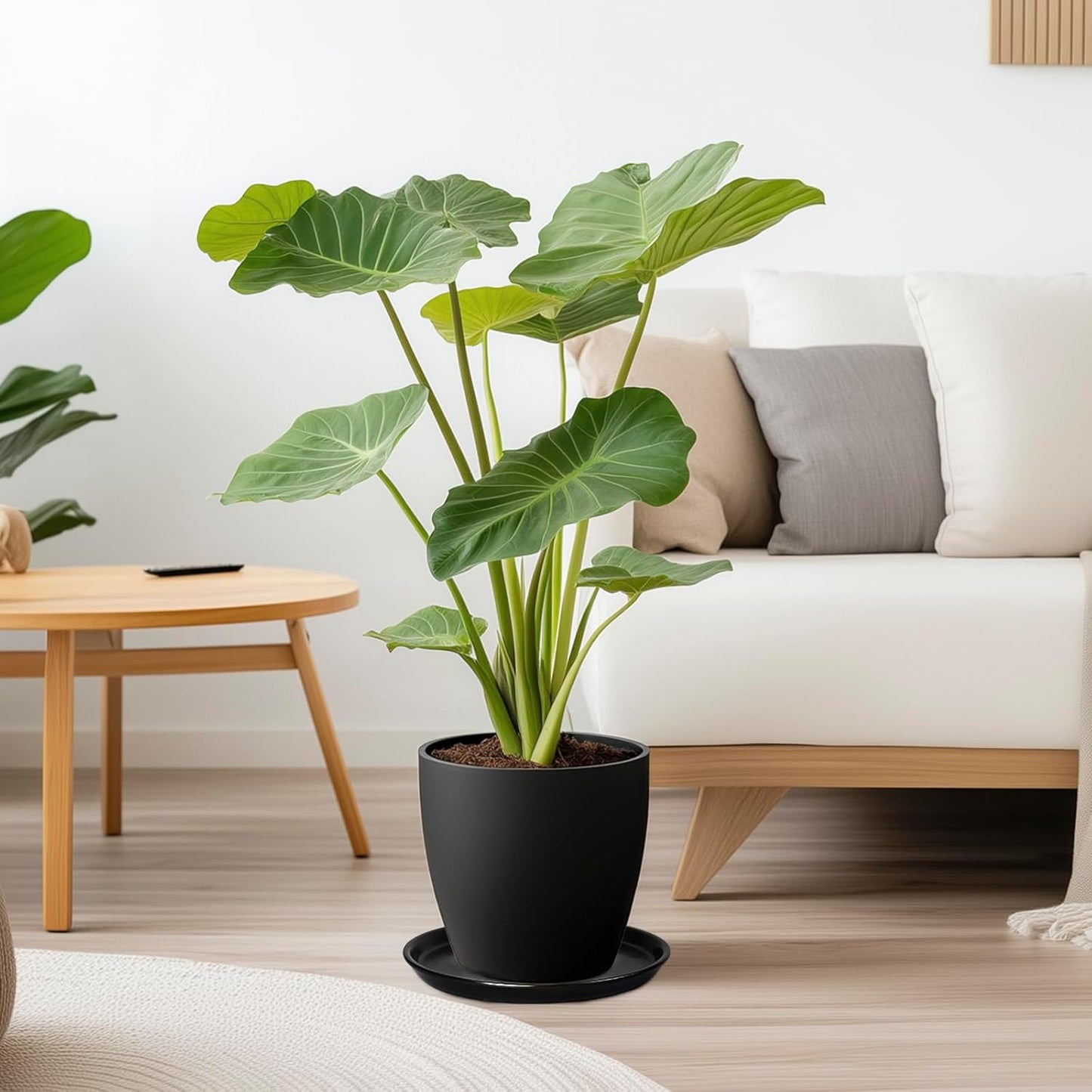 Flower Pot Saucer 12 Inch - Ceramic Plant Saucer for Outdoors Plant Drip Tray for Pots Indoor No Holes Large Plant Dishes to Catch Water Decorative Plant Drainage Tray Black