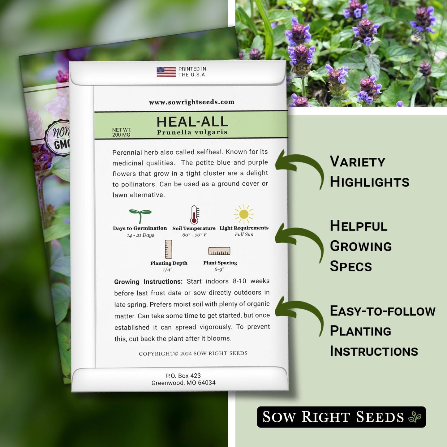 Sow Right Seeds - Heal-All Seeds for Planting - Self Heal Prunella Vulgaris - Non-GMO Heirloom Medicinal Herb - Grow Your Own Wildflower Garden - Attracts Pollinators - Easy to Grow in Gardens (1)