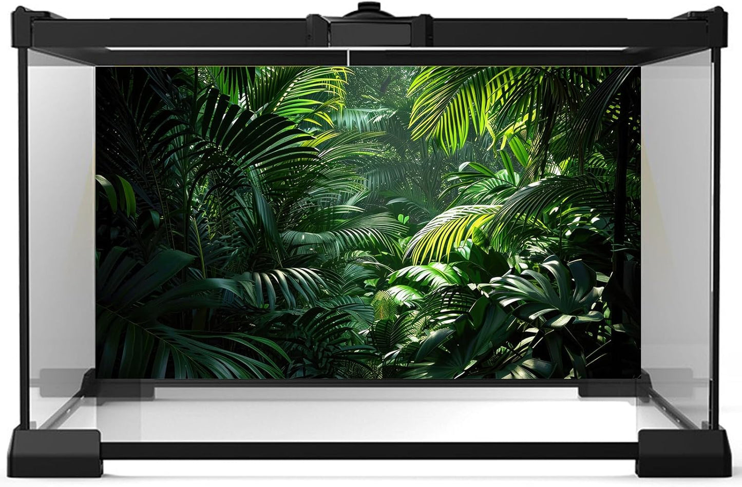 Aquarium Background Enchanting Beauty of Jungle Terrarium Backdrop Nature Jungle Green Leaf Palms Fish Tank Background Reptile Habitat Backdrop Wallpaper Poster Decor Vinyl 36x20in