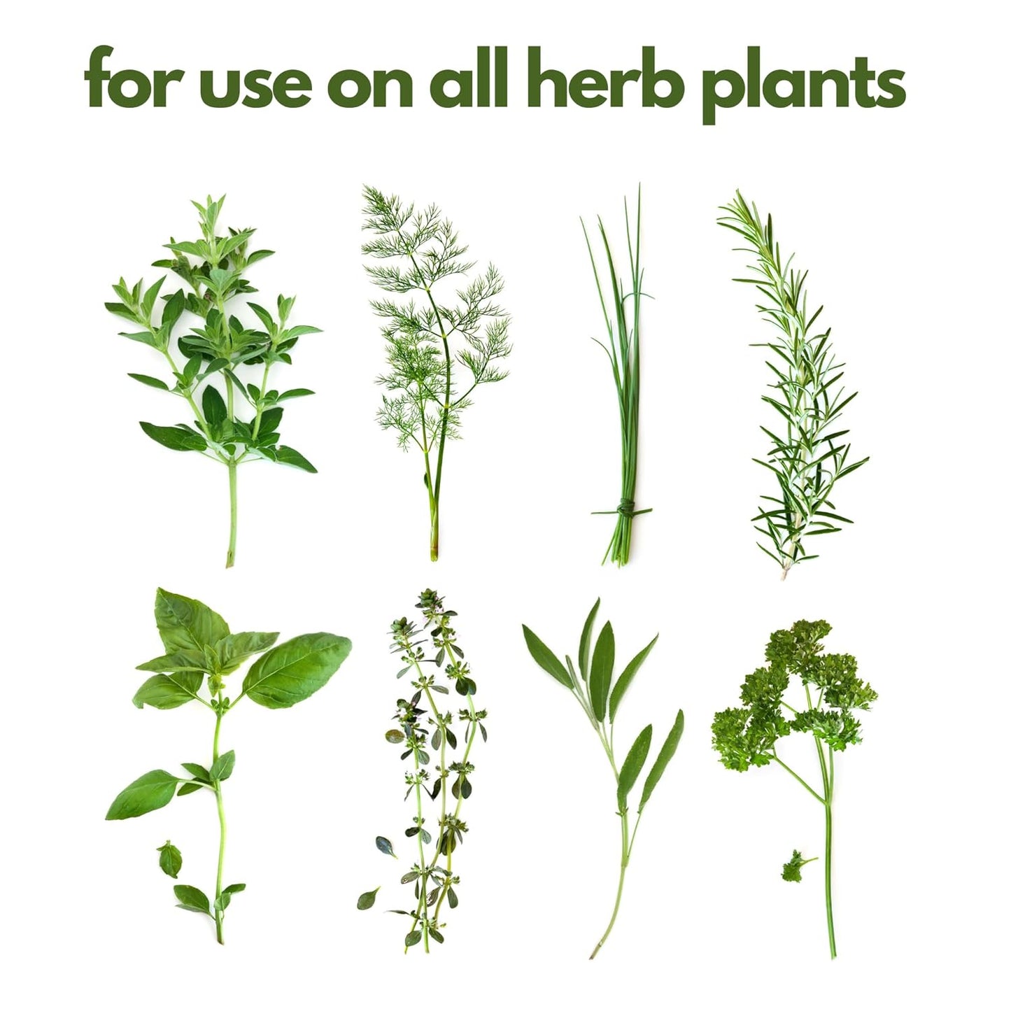 Fertilizer for Herbs Happy Herb Organic Fertilizer by Happy Nutrients – Plant Food for Basil, Mint, Cilantro, Rosemary, Thyme & More – Macro & Micro Nutrients for Home Gardens – 12 oz (0.34 kg)
