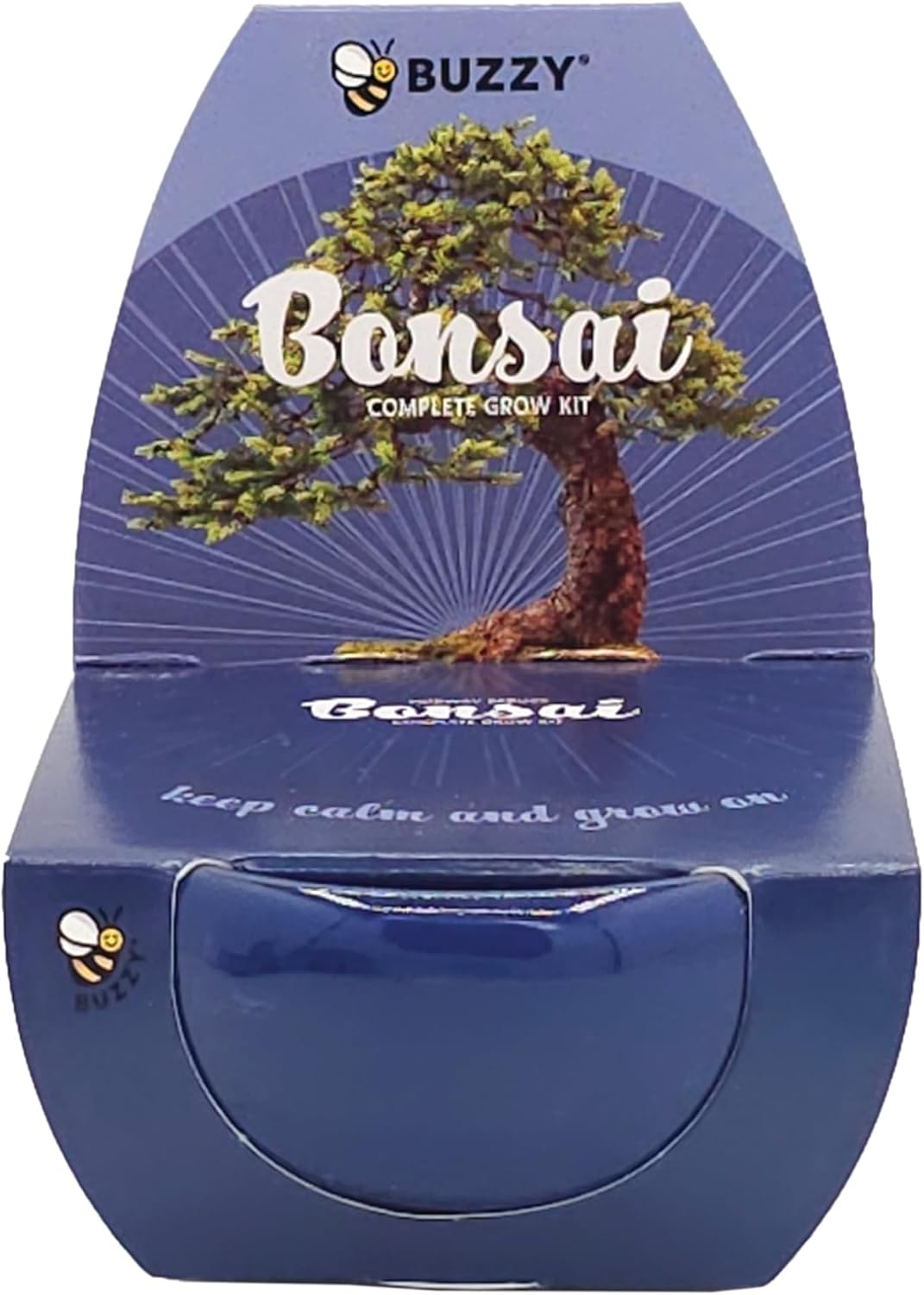 BUZZY Seeds 4-Pack Bonsai Tree Growing Kit Includes Black Austrian Pine, Monterey Cypress, Blue Spruce, Norway Spruce with Green, Blue, Dark Blue, and Gold Crackle Pots, Indoor Gardening Gift Set