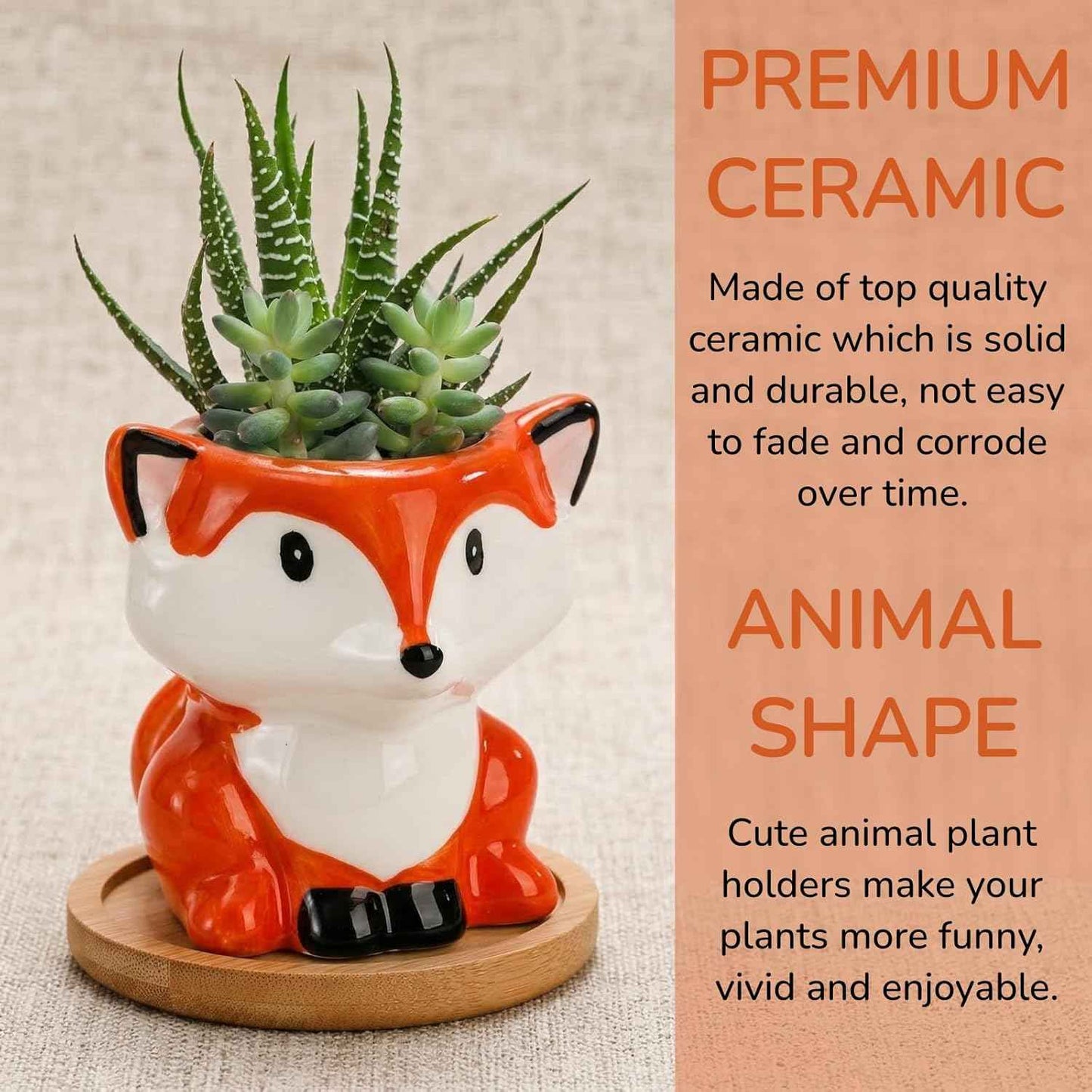Pumtus 6 Pack Small Succulent Pots with Drainage Hole, 3 Inch Cute Ceramic Animal Planter with Saucer, Unique Air Plant Holder, Desktop Plant Flower Pot for Indoor Plants, Cactus, Garden, Home Decor