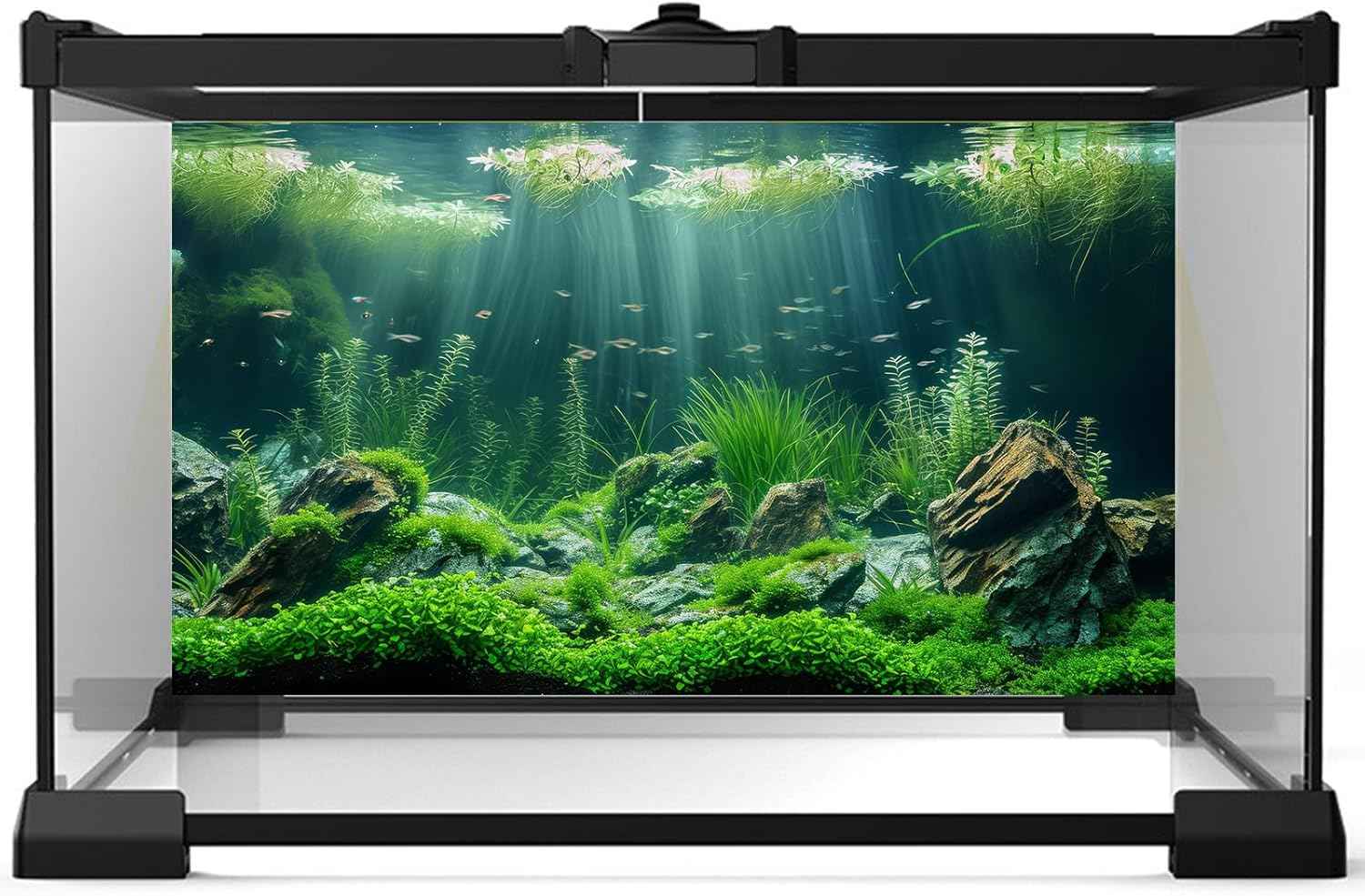 Aquarium Background Underwater Grass Leaves with Stone Aquarium Backdrop Vivid and Fresh Green Aquatic Plant Stone River Bed and Lake Fish Tank Background Decor Vinyl 24x16in