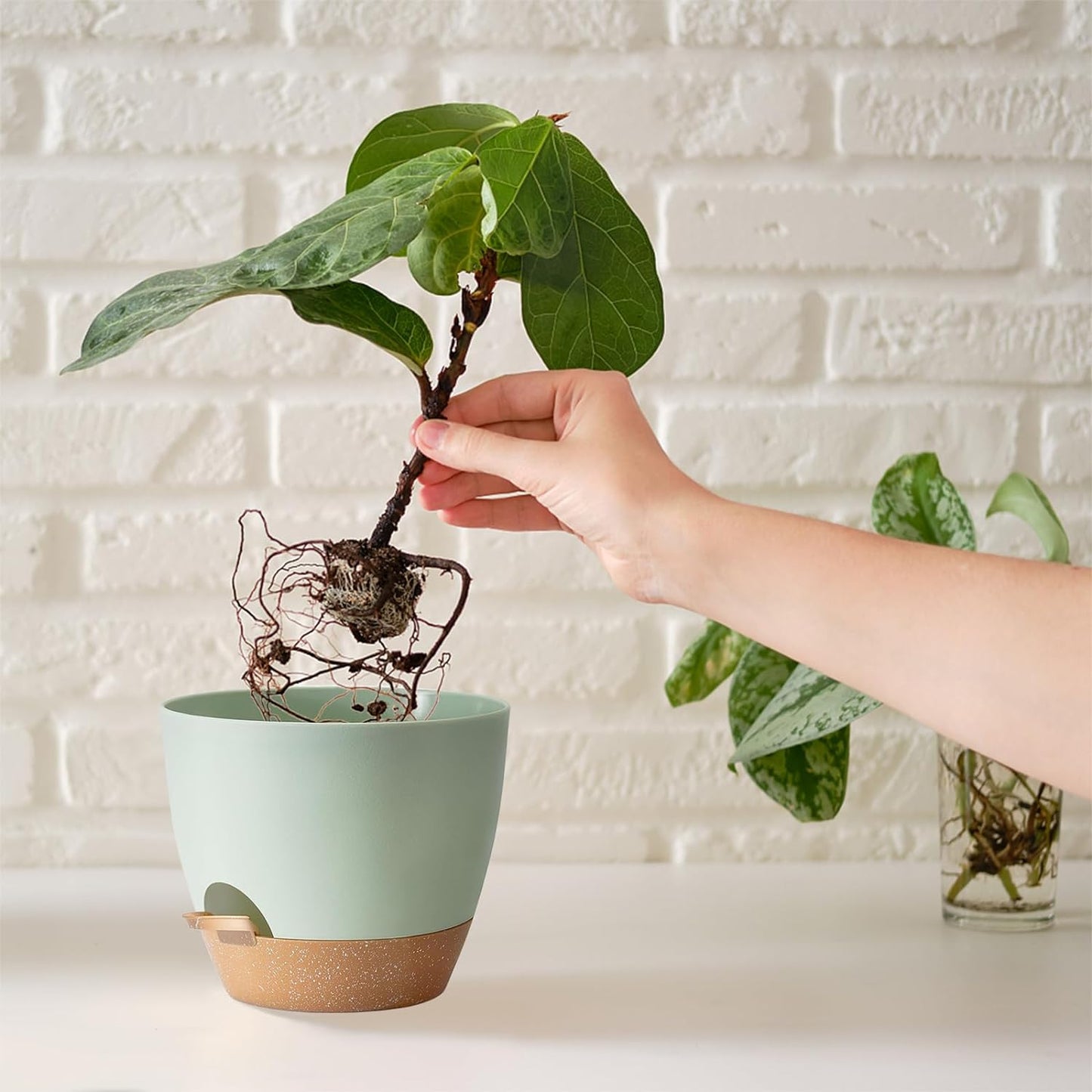 Self Watering Plant Pot with Drainage Hole,Plant Pots Outdoor Flower Pots for Indoor Plants,Modern Green Plastic Self Watering Planters Succulent Pot 7pcs/Set