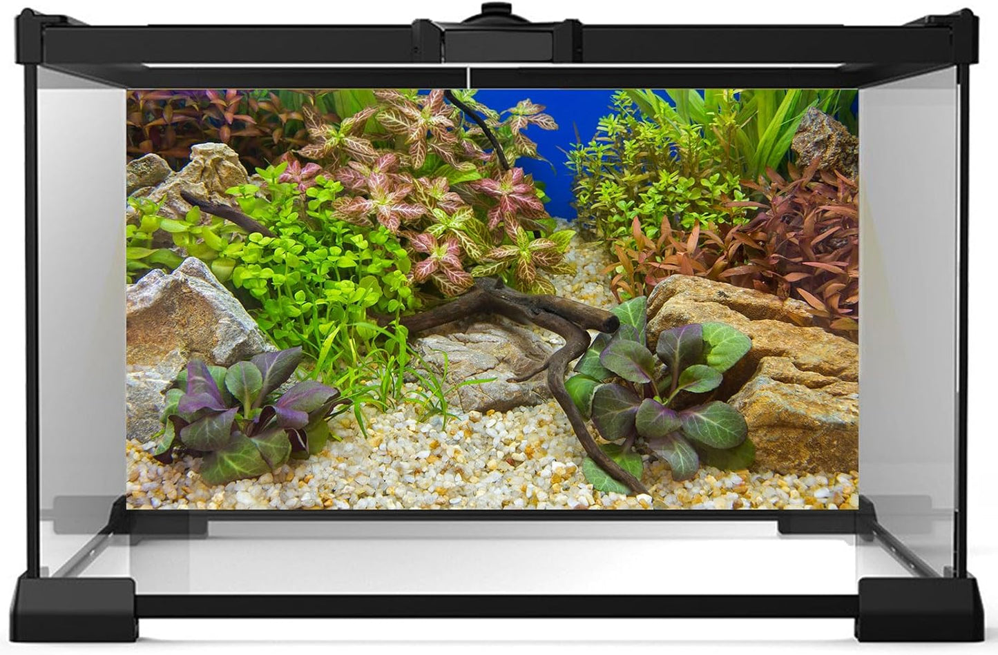 Aquarium Background Various Underwater Grass Plants Pebble Aquarium Backdrop Vivid and Fresh Green Aquatic Plants Stone River Bed and Dead Wood Purple Leaves Tank Background Vinyl 30x18in