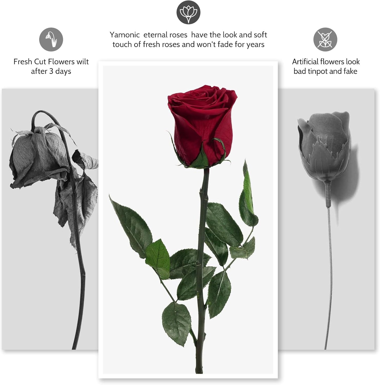 Yamonic Preserved Flower Rose Birthday Gifts for Women, Mothers Day Rose Flowers Gifts for Mom, Real Flower for Women, Grandma, Wife, Girlfriend Gifts for Christmas, Valentine's Day