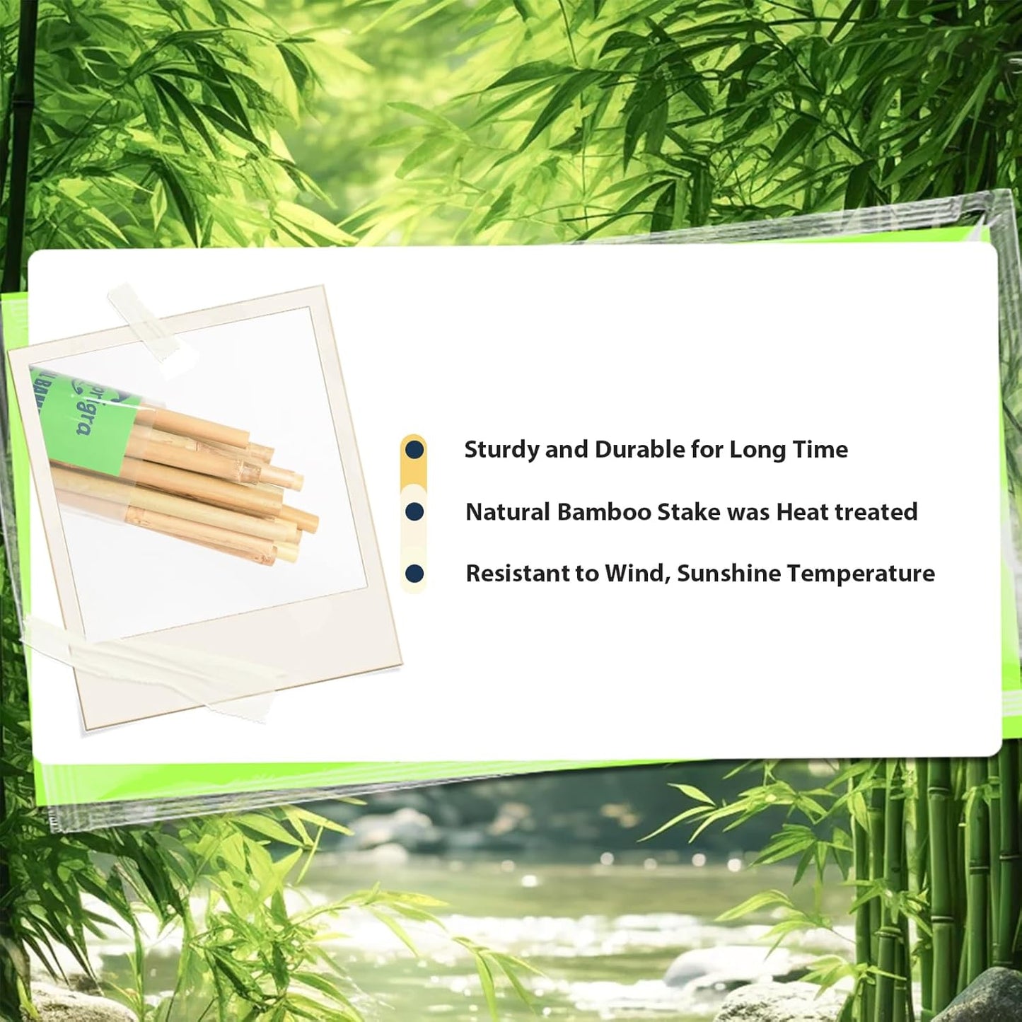 Bamboo Stakes 2FT 35pcs, 24 inch Garden Stakes Multi-Purpose, Bamboo Plant Support Stakes for Beans, Peppers, Flowers, Potted, Maintain The Plant Posture, Strengthen and Stem