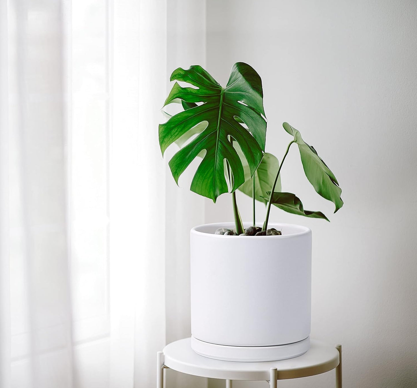 D'vine Dev Set of 2 Plants Pots, 10 Inch Ceramic Planter Pot for Plants with Drainage Hole and Saucer, White, 94-V-E-1