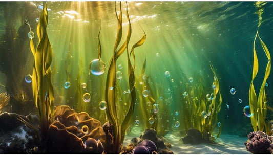 Aquarium Background Underwater Beautiful Coral Reef with Seaweed Bubbles Terrarium Backdrop Aquatic Plants Sunlight Rays Fish Tank Background Tank Aquarium Wallpaper Poster Decor Vinyl 72x18in