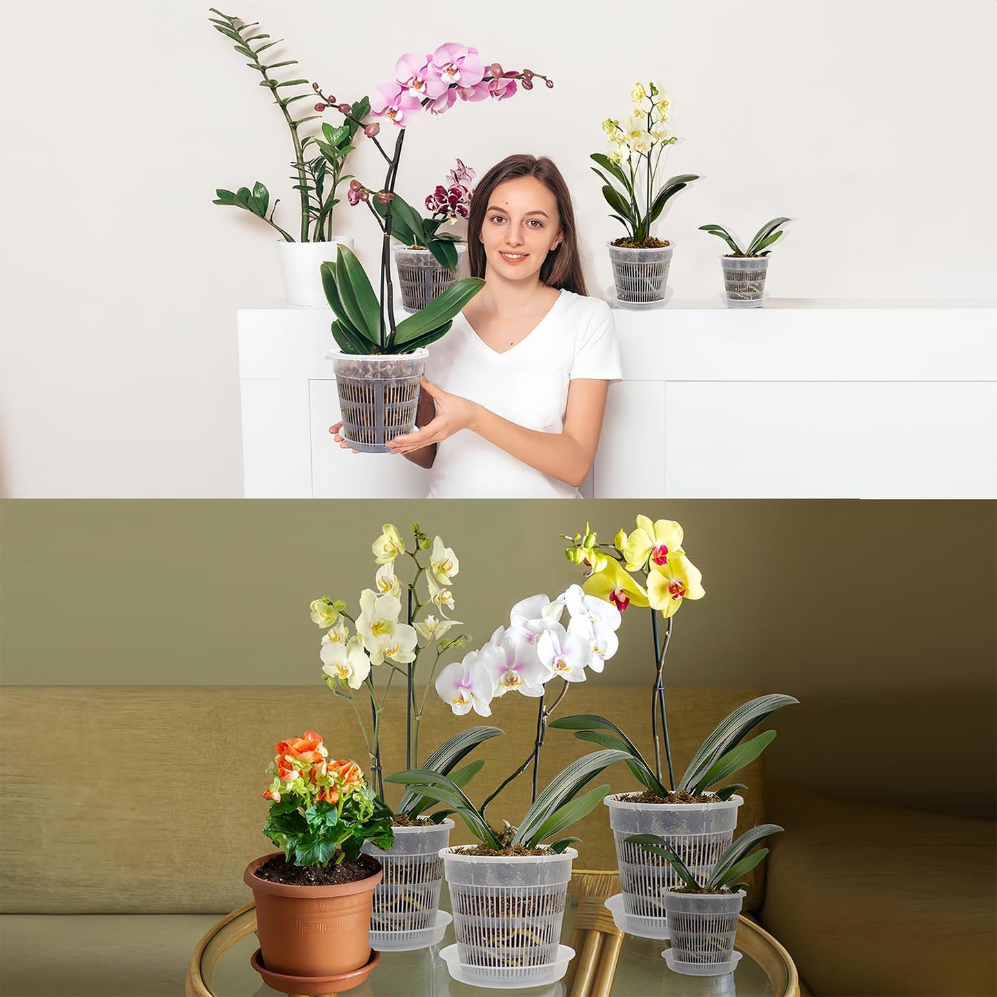 12Pcs Orchid Pot, 3 Each of 4.5, 5.5, 6.3 and 7.5 Inch Orchid Pots with Holes and Saucers, Clear Orchid Pots for Repotting, Plastic Plant Pot(3 Each of 4.5,5.5, 6.3,7.5in with Saucers)